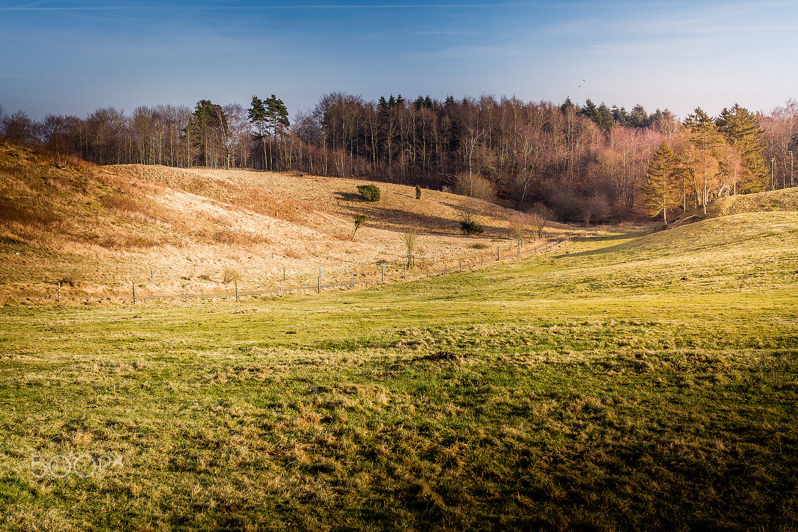 Canon EOS 7D sample photo. Field and forrest photography