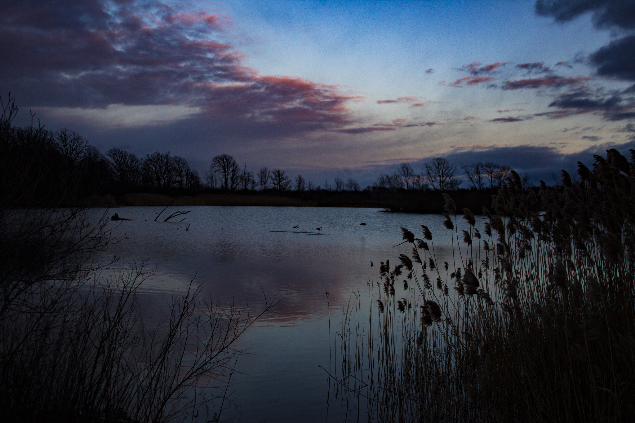 Canon EOS 600D (Rebel EOS T3i / EOS Kiss X5) + Canon EF 24mm F2.8 sample photo. Glass at sunset photography