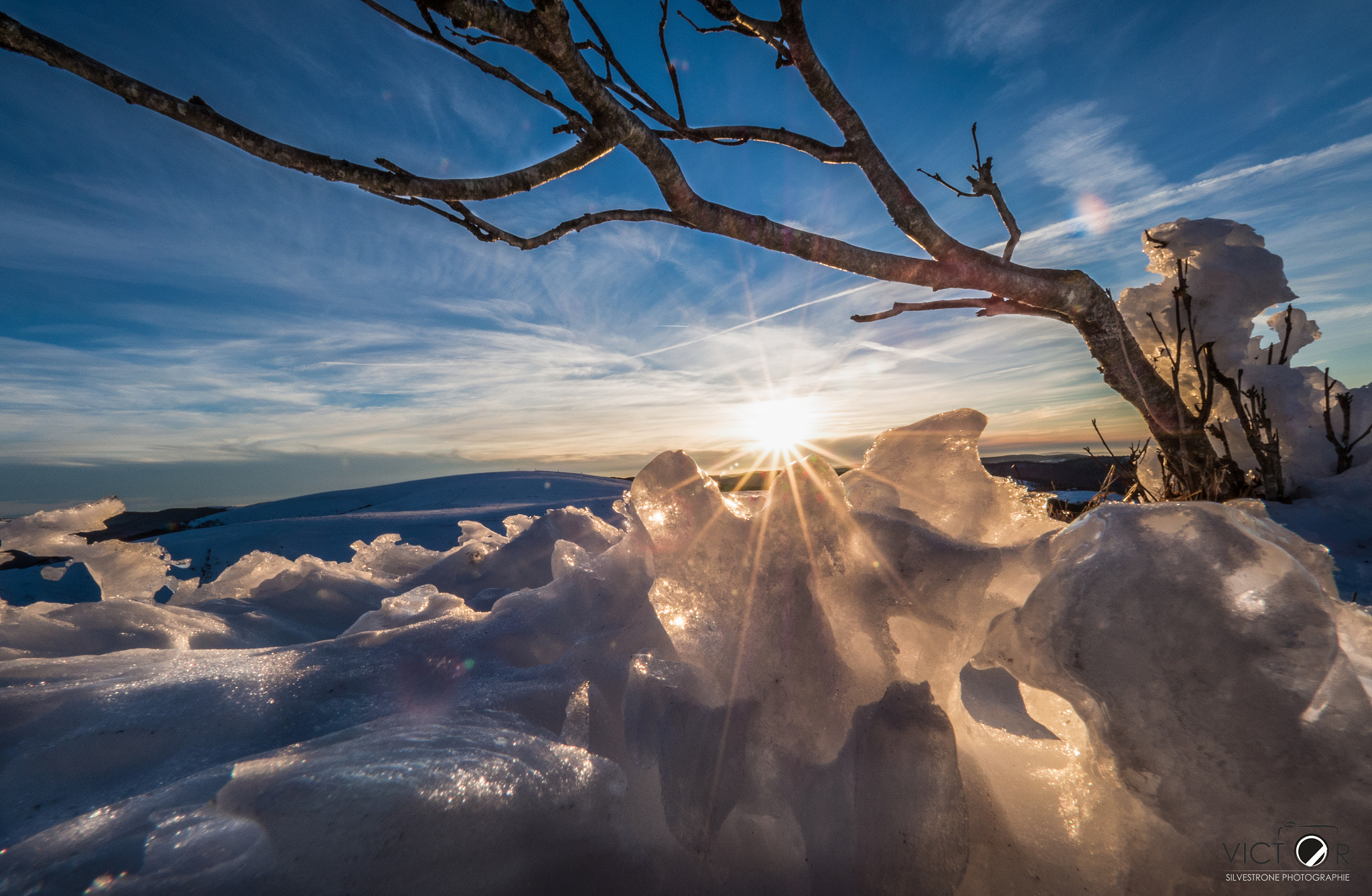 Olympus OM-D E-M5 II + Olympus M.Zuiko Digital ED 7-14mm F2.8 PRO sample photo. Wood and ice photography