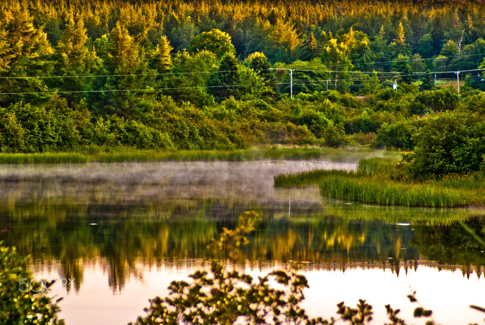 Minolta/Sony AF 24-105mm F3.5-4.5 (D) sample photo. Misty morning photography