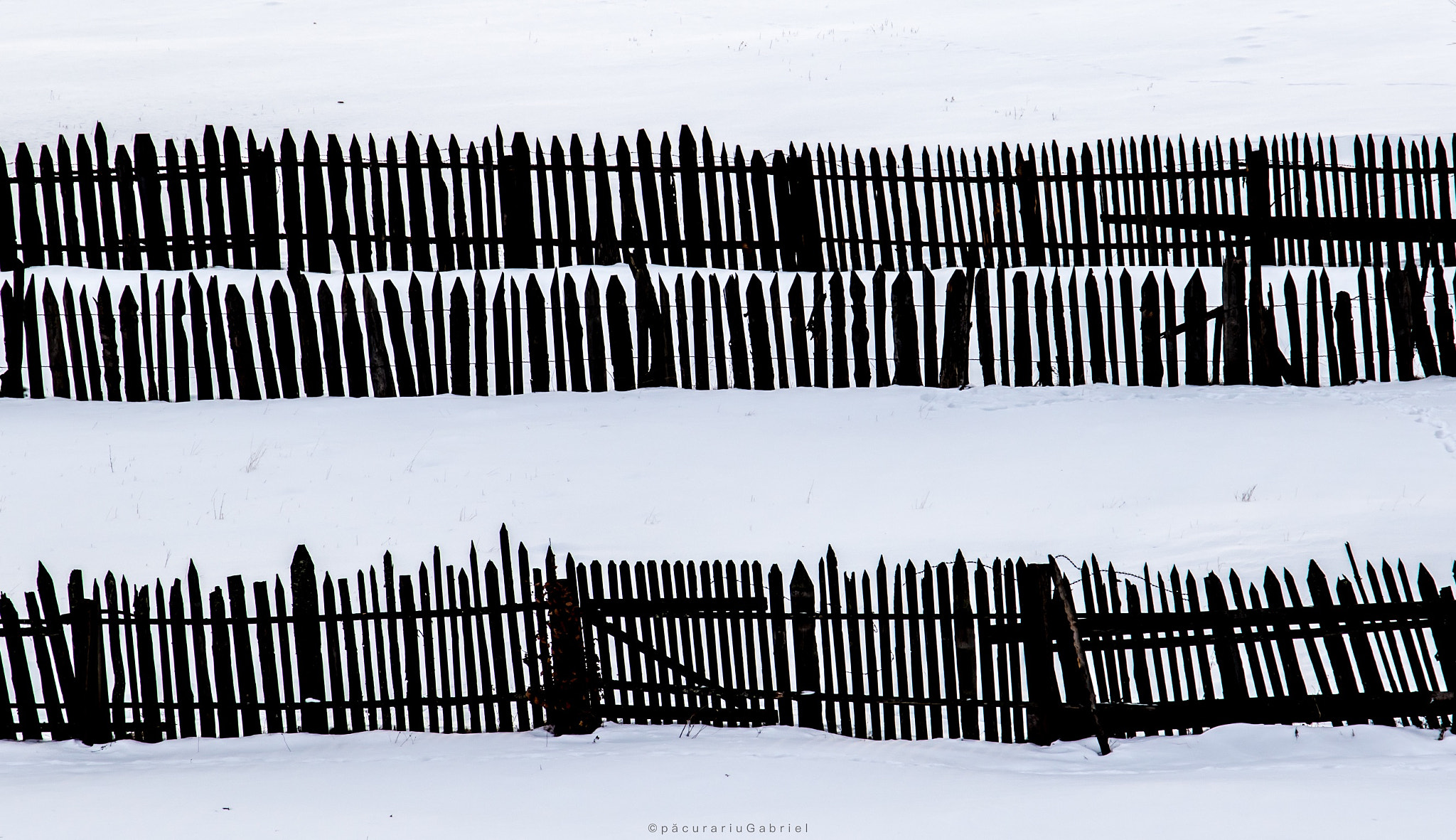 Canon EF 24-105mm F3.5-5.6 IS STM sample photo. Minimal winter photography