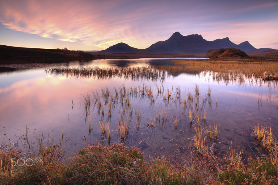 Canon EF 16-35mm F4L IS USM sample photo. Reeds on loch hakel.tif photography