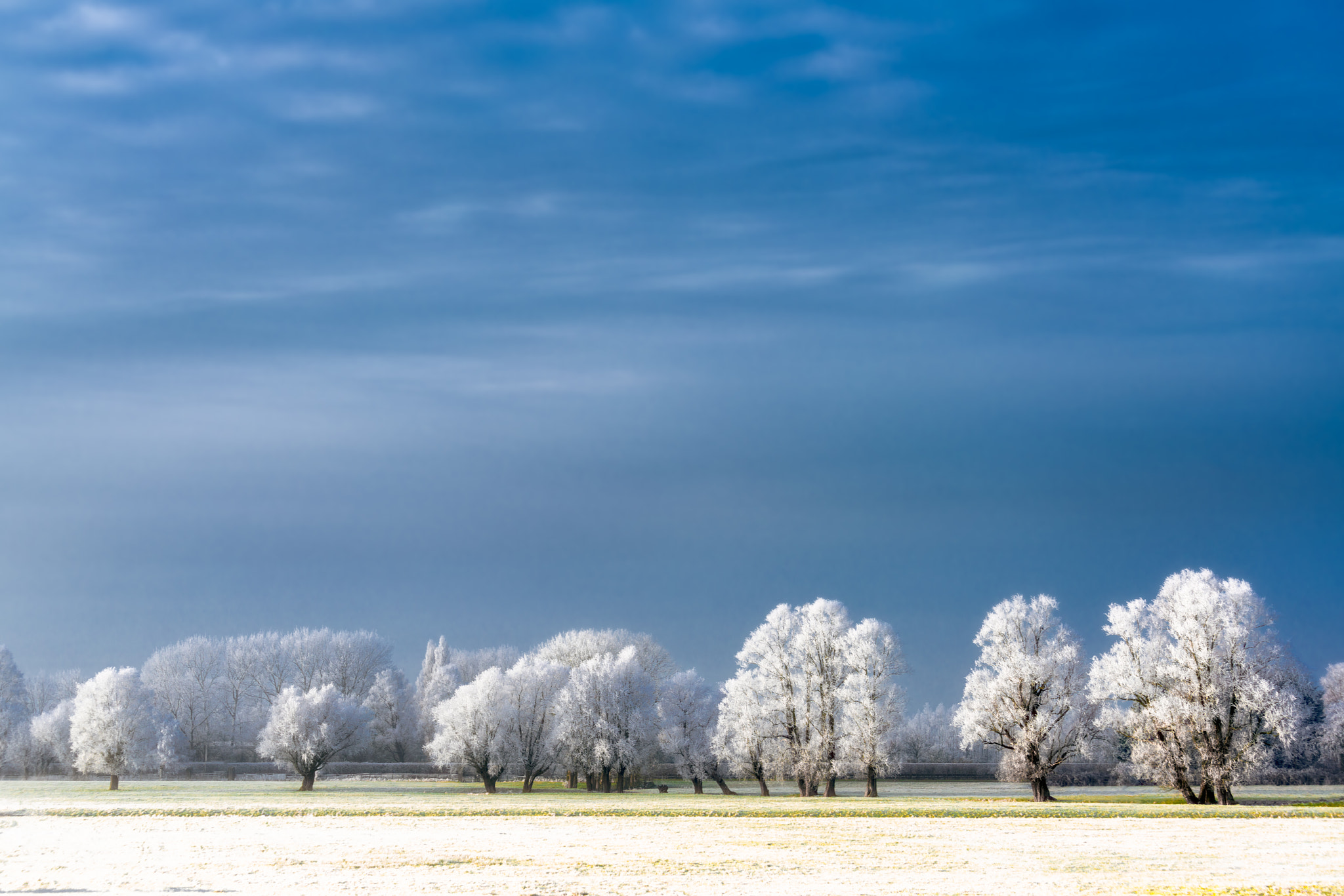 Sony a7R II + Canon EF 70-200mm F4L IS USM sample photo. Magical winter photography