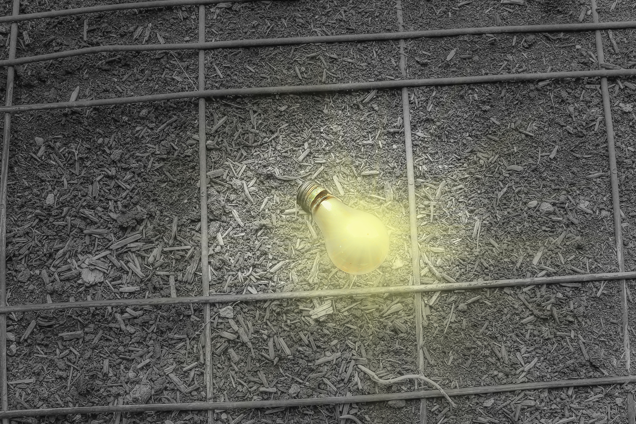 Canon EF-S 24mm F2.8 STM sample photo. Yellow light bulb photography