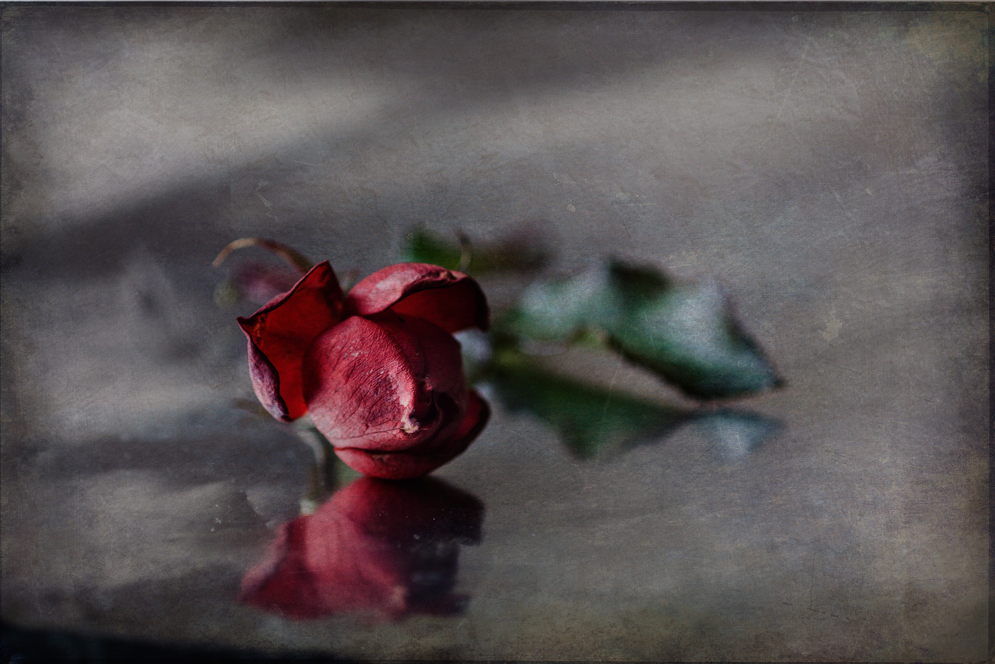 Canon EF 35-80mm f/4-5.6 sample photo. Ne me quitte pas photography