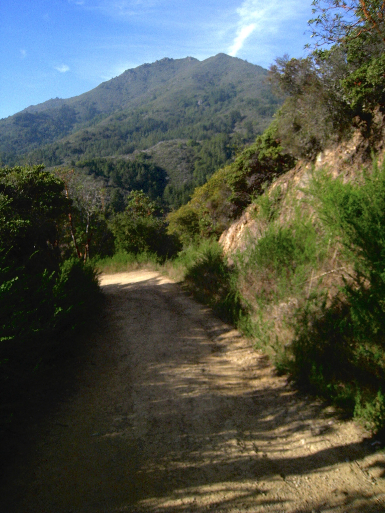 Canon POWERSHOT SD870 IS sample photo. Mt. tamalpais from fire road, mill valley, california 2011 photography