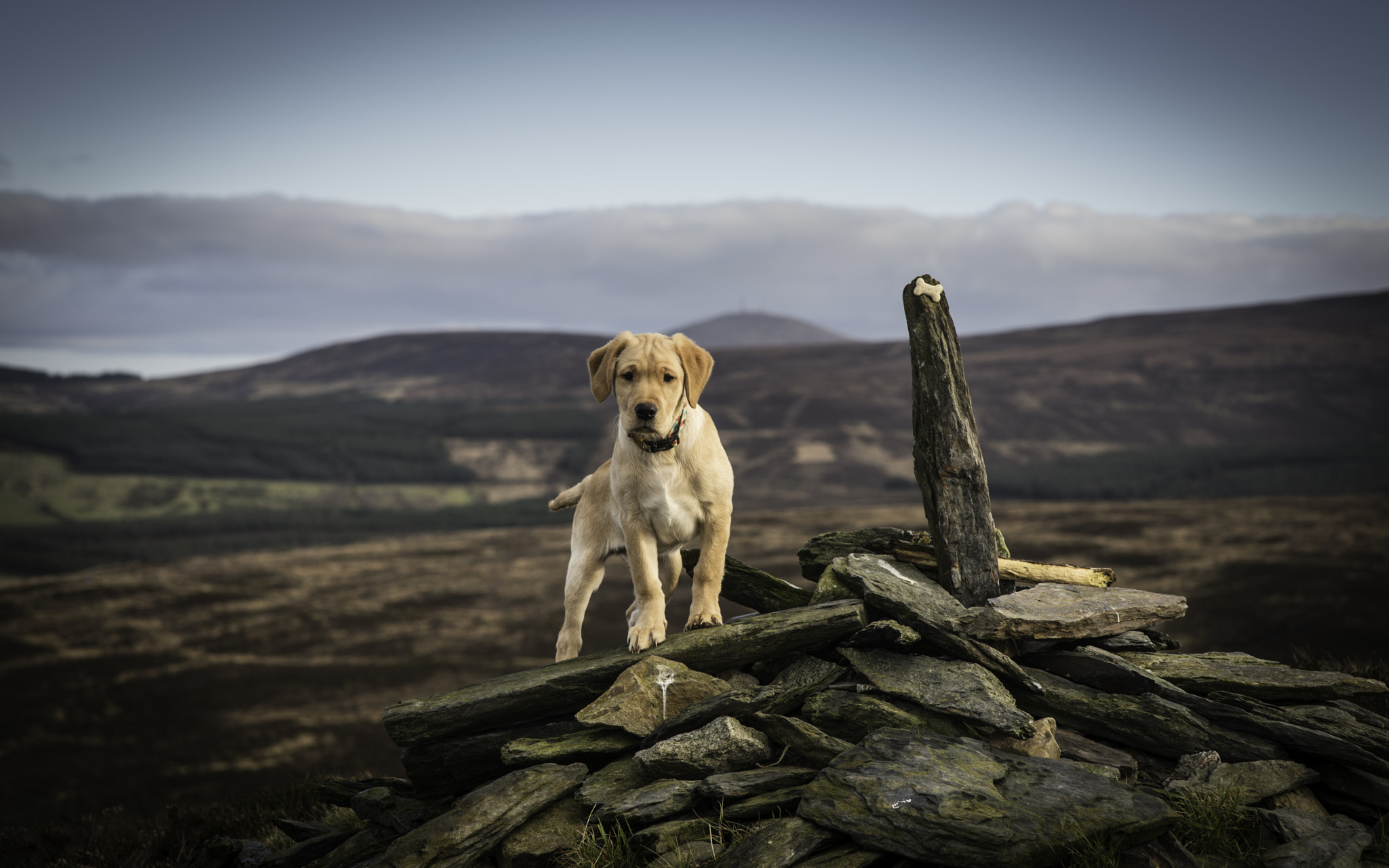 Nikon D750 + Sigma 85mm F1.4 EX DG HSM sample photo. On top of the world photography