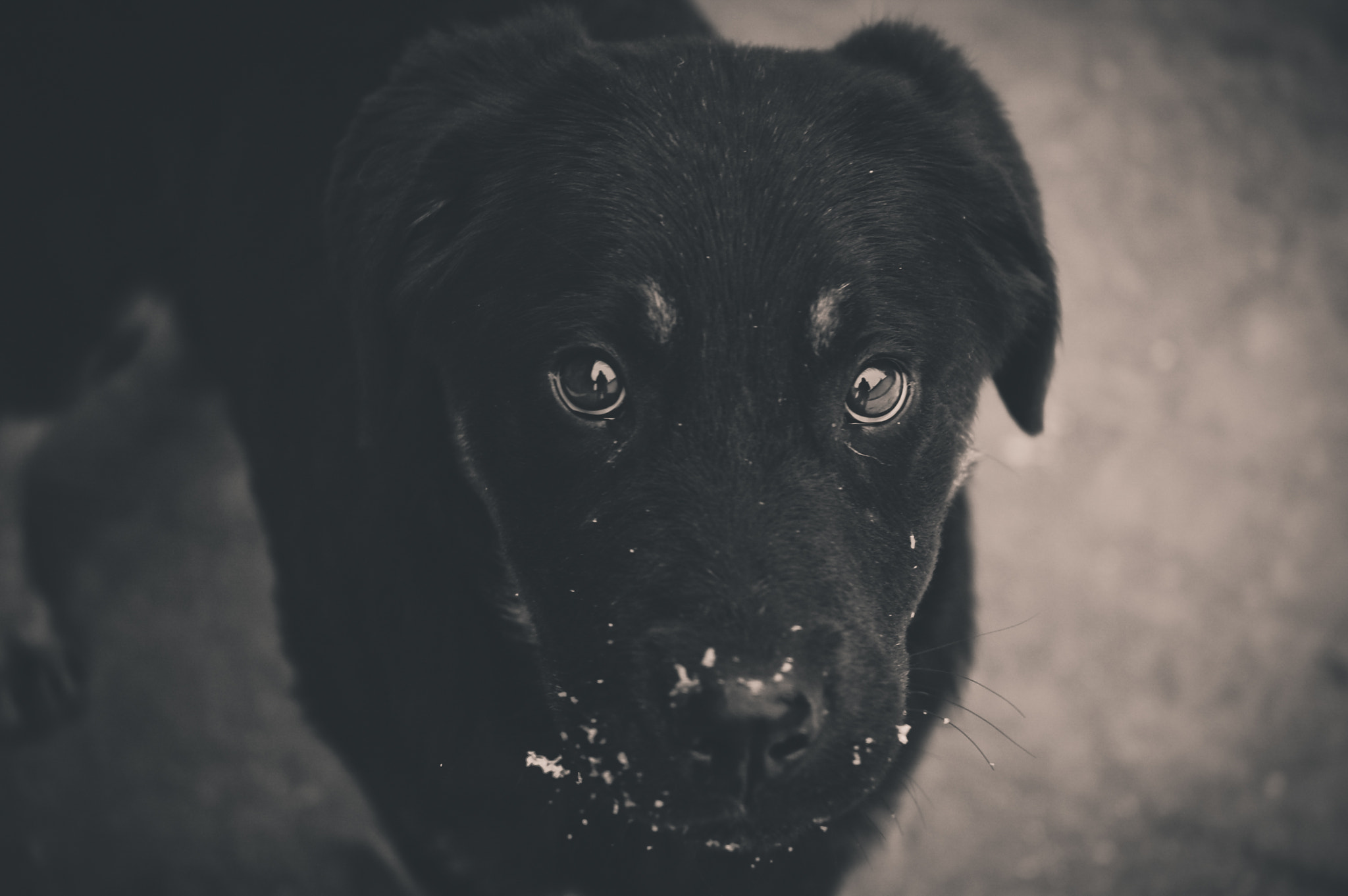 Nikon D50 sample photo. Barni photography
