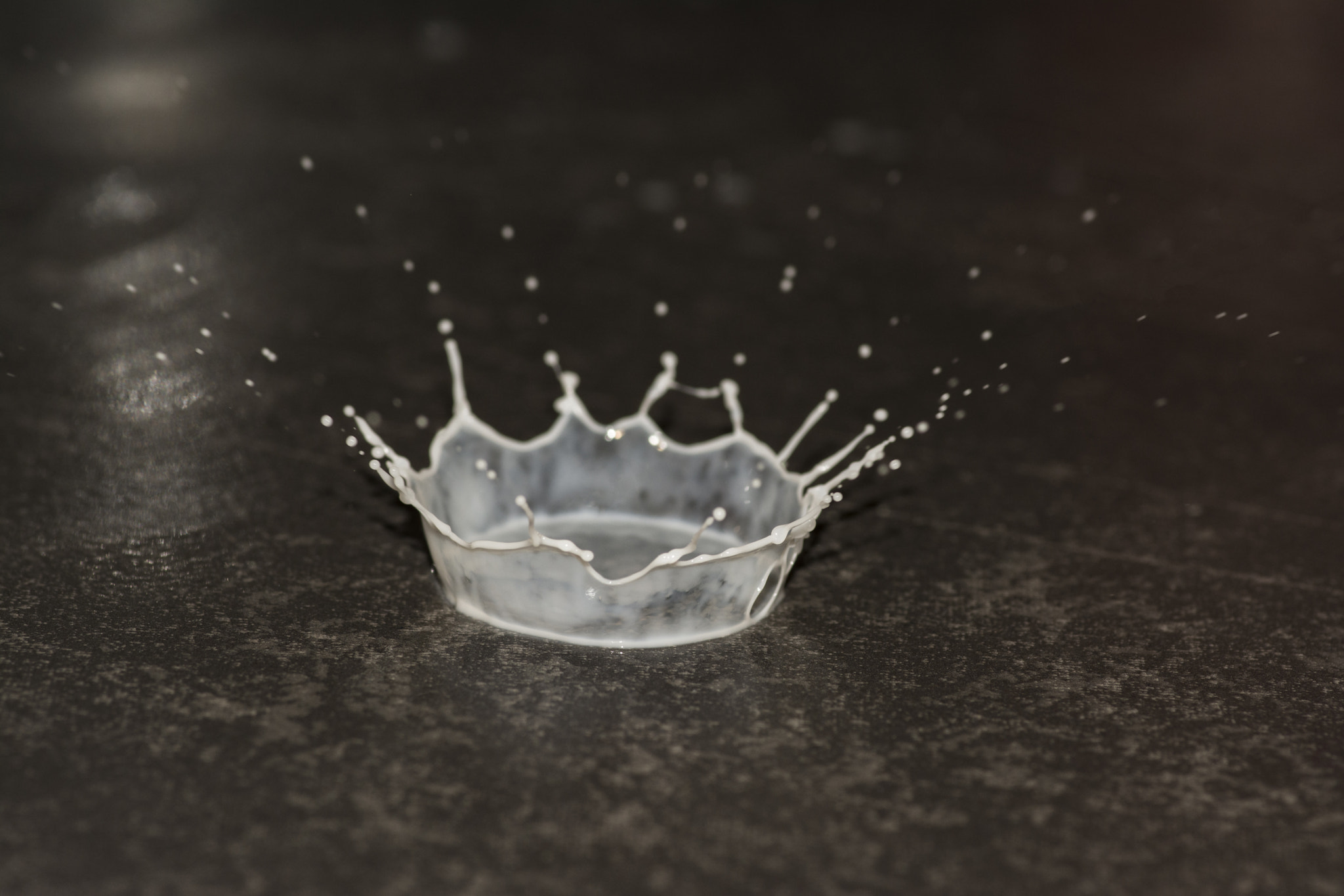 Tokina AT-X Pro 100mm F2.8 Macro sample photo. Milk time two photography