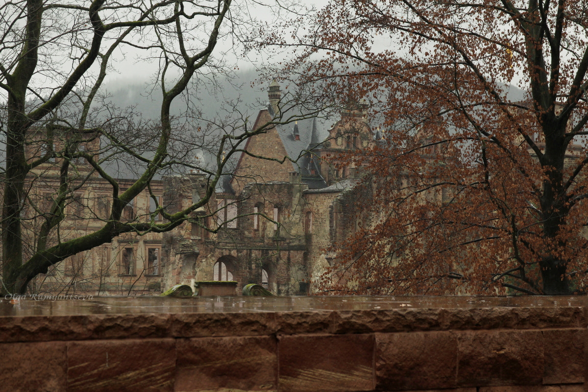 Canon EF 24-70mm F2.8L II USM sample photo. Haydelberg.rainy day. photography