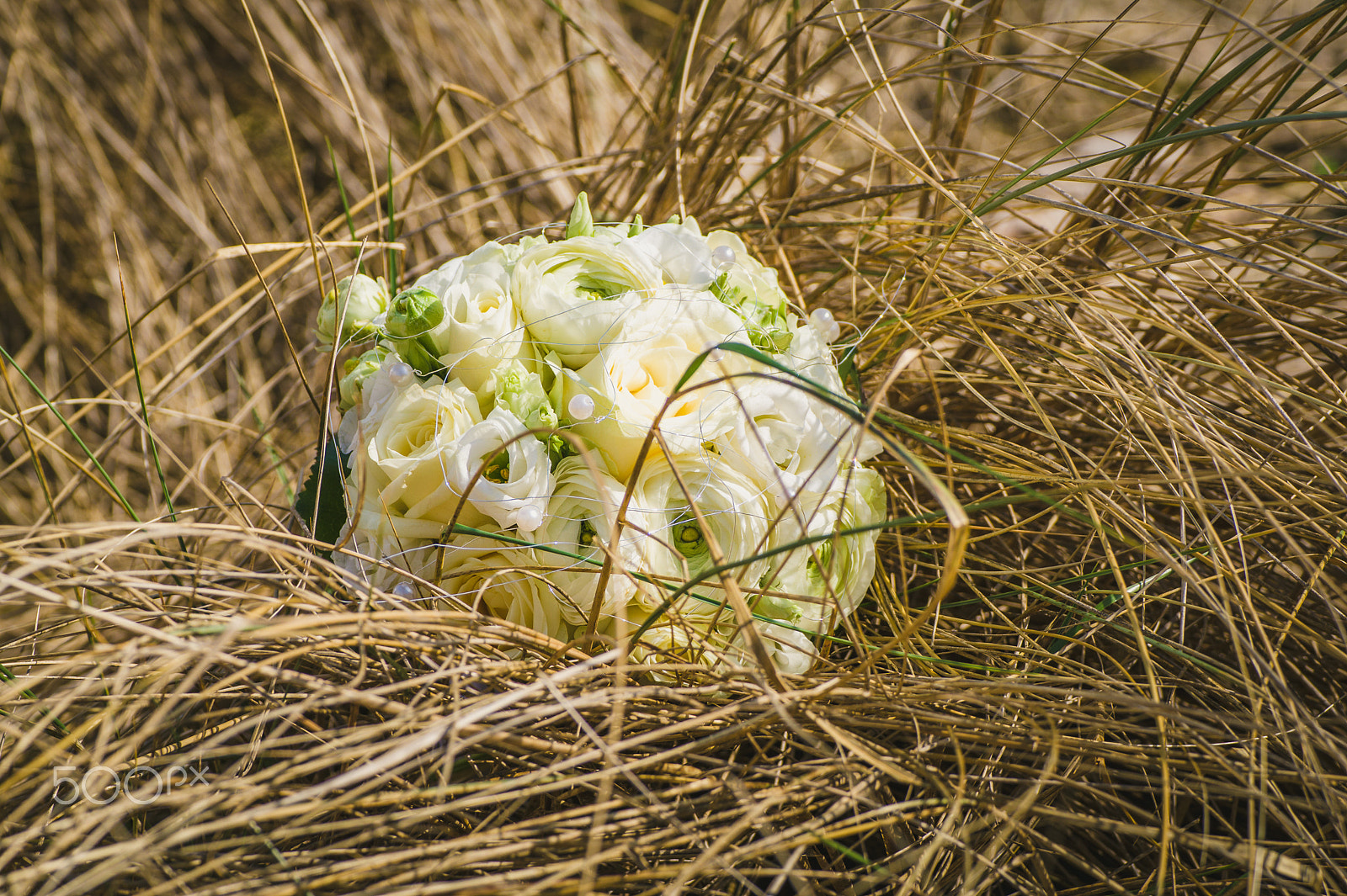 Sony SLT-A58 sample photo. Hochzeit 2015 photography