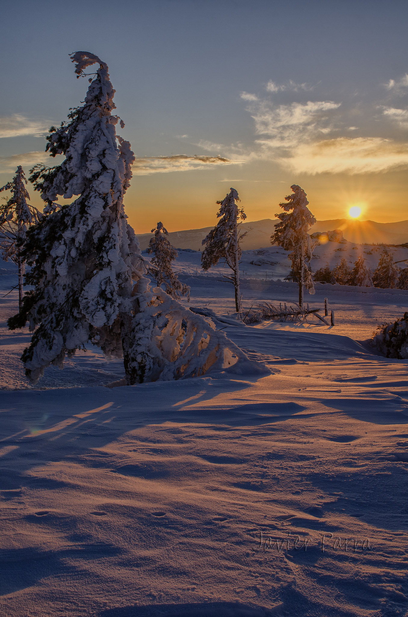 Sigma 24-70mm F2.8 EX DG HSM sample photo. Atardecer en la nieve photography