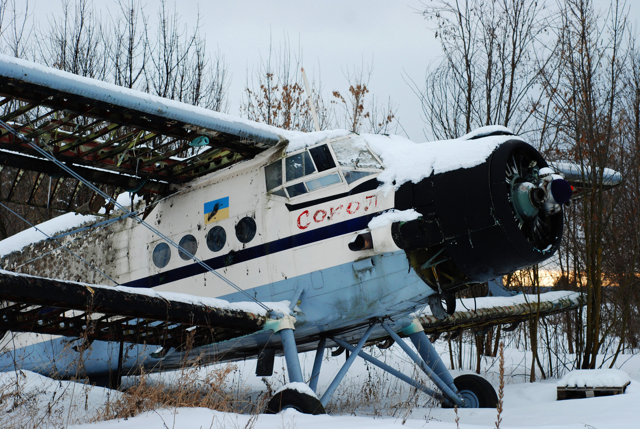 Nikon D80 + Nikon AF Nikkor 50mm F1.8D sample photo. Abandoned airdrome in volchansk, ukraine photography