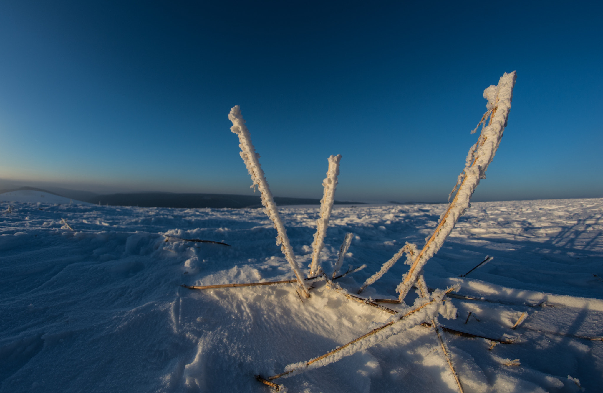 Nikon D5200 + Samyang 8mm F3.5 Aspherical IF MC Fisheye sample photo. Winter photography