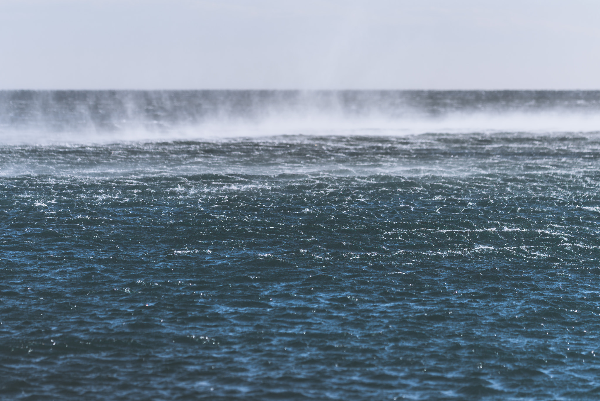Sigma 150mm F2.8 EX DG Macro HSM sample photo. Windy day photography