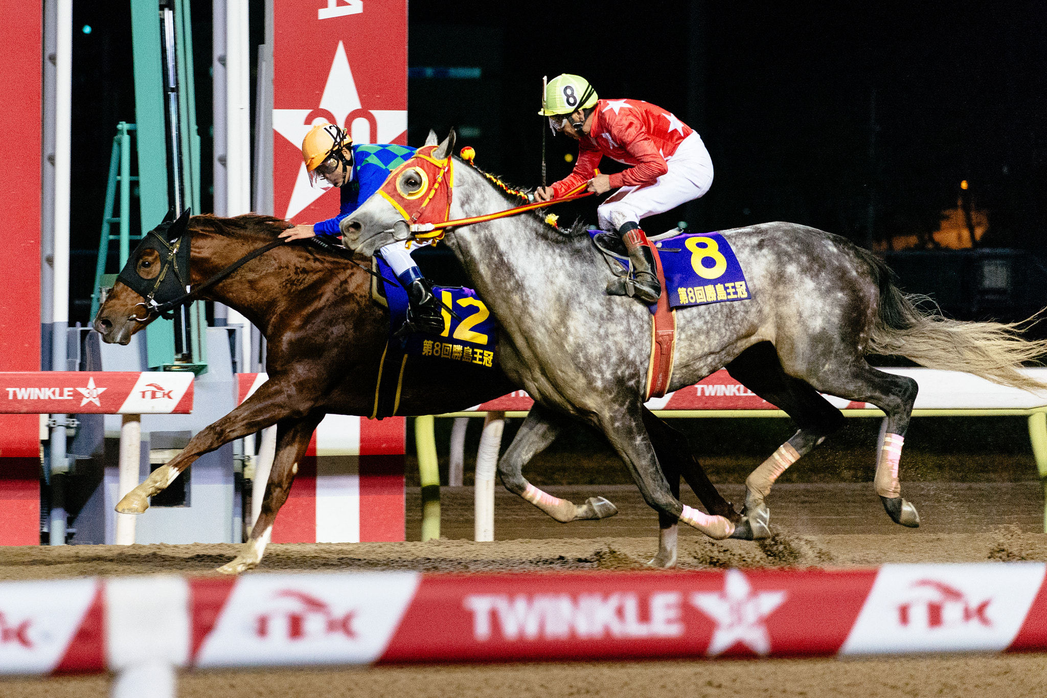 Nikon AF-S Nikkor 70-200mm F4G ED VR sample photo. Horse 3 : ohi photography