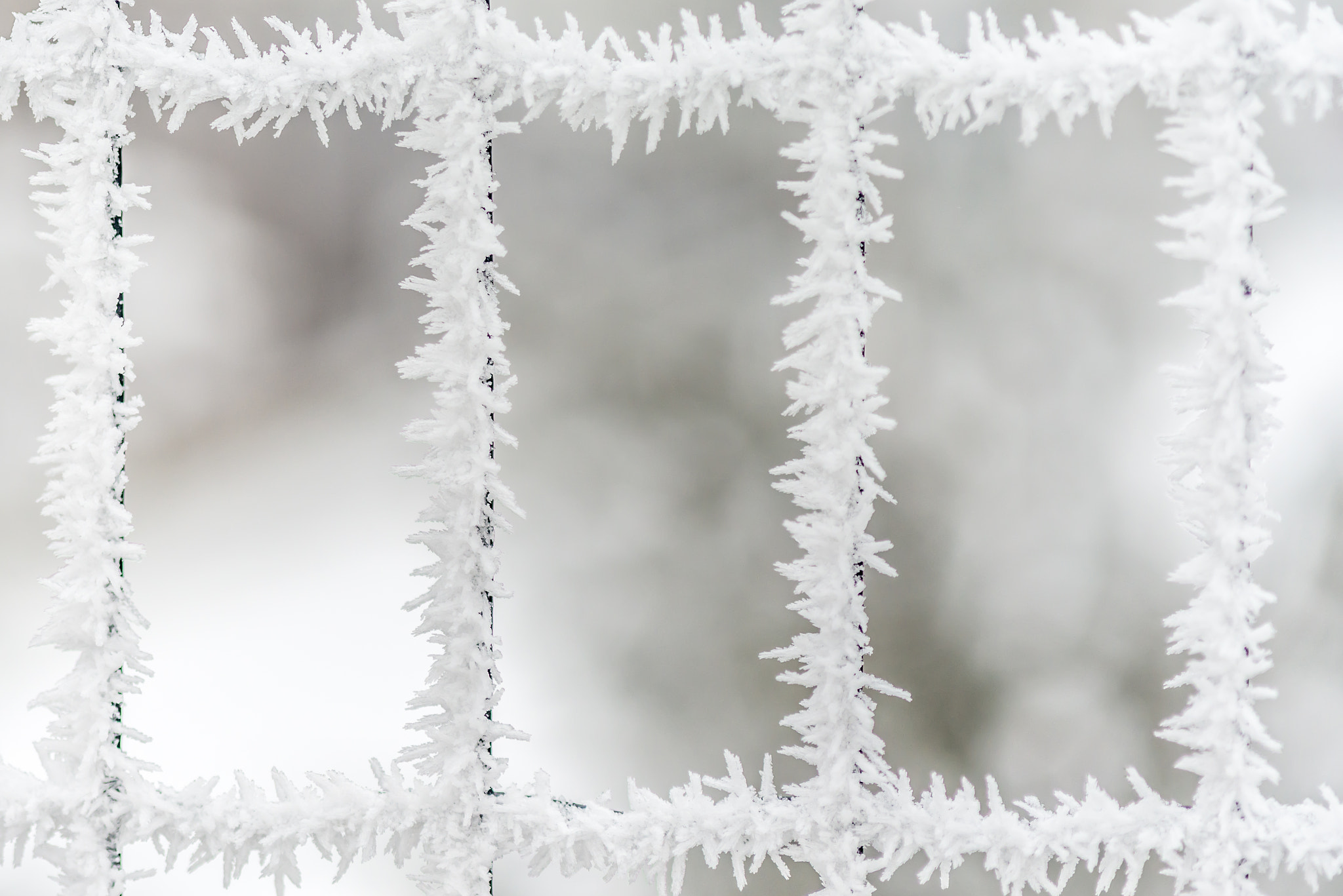 Nikon D610 + AF Micro-Nikkor 105mm f/2.8 sample photo. Three frozen crystal windows to magic world photography