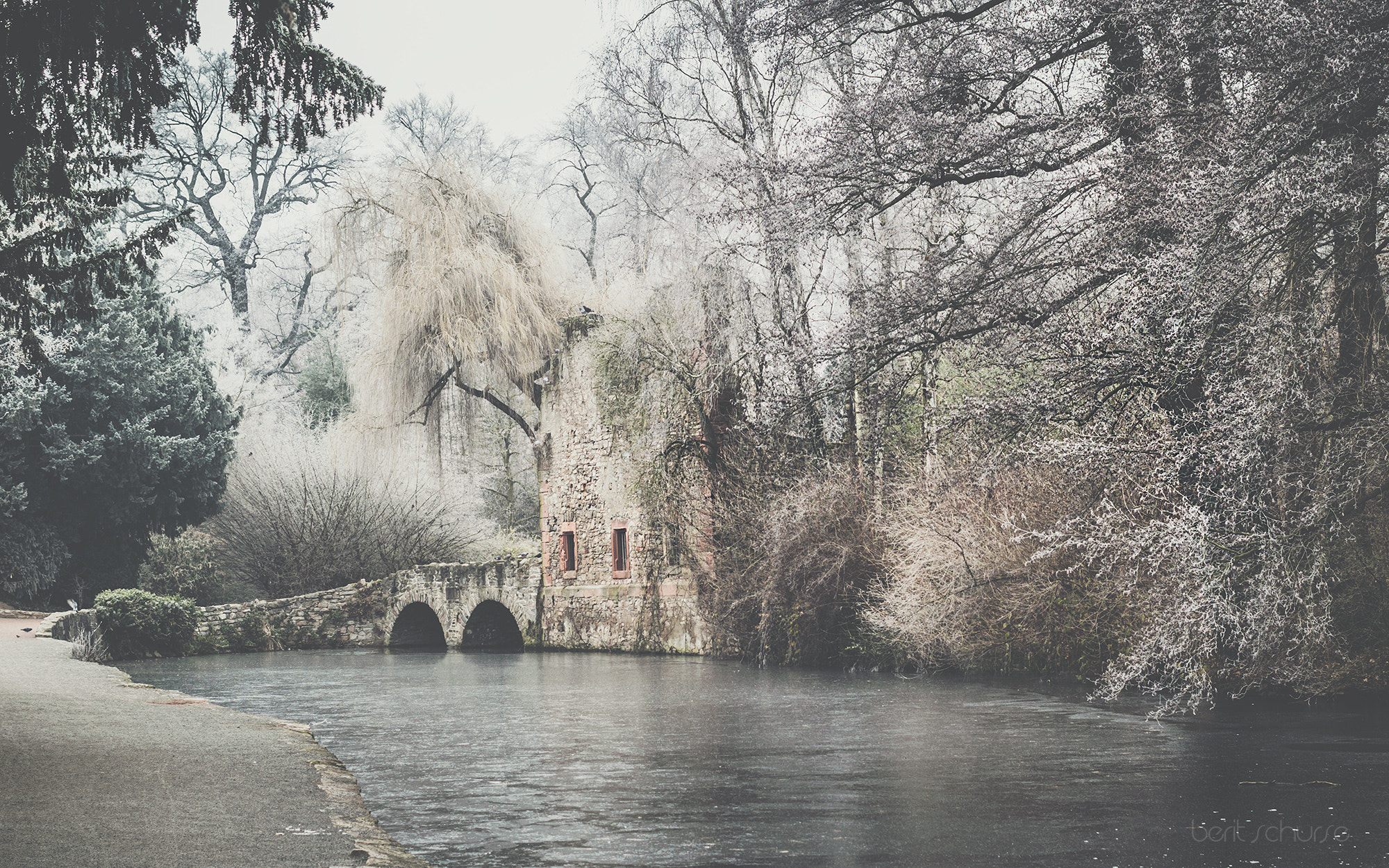 Canon EOS 60D + Canon EF 40mm F2.8 STM sample photo. Frozen photography