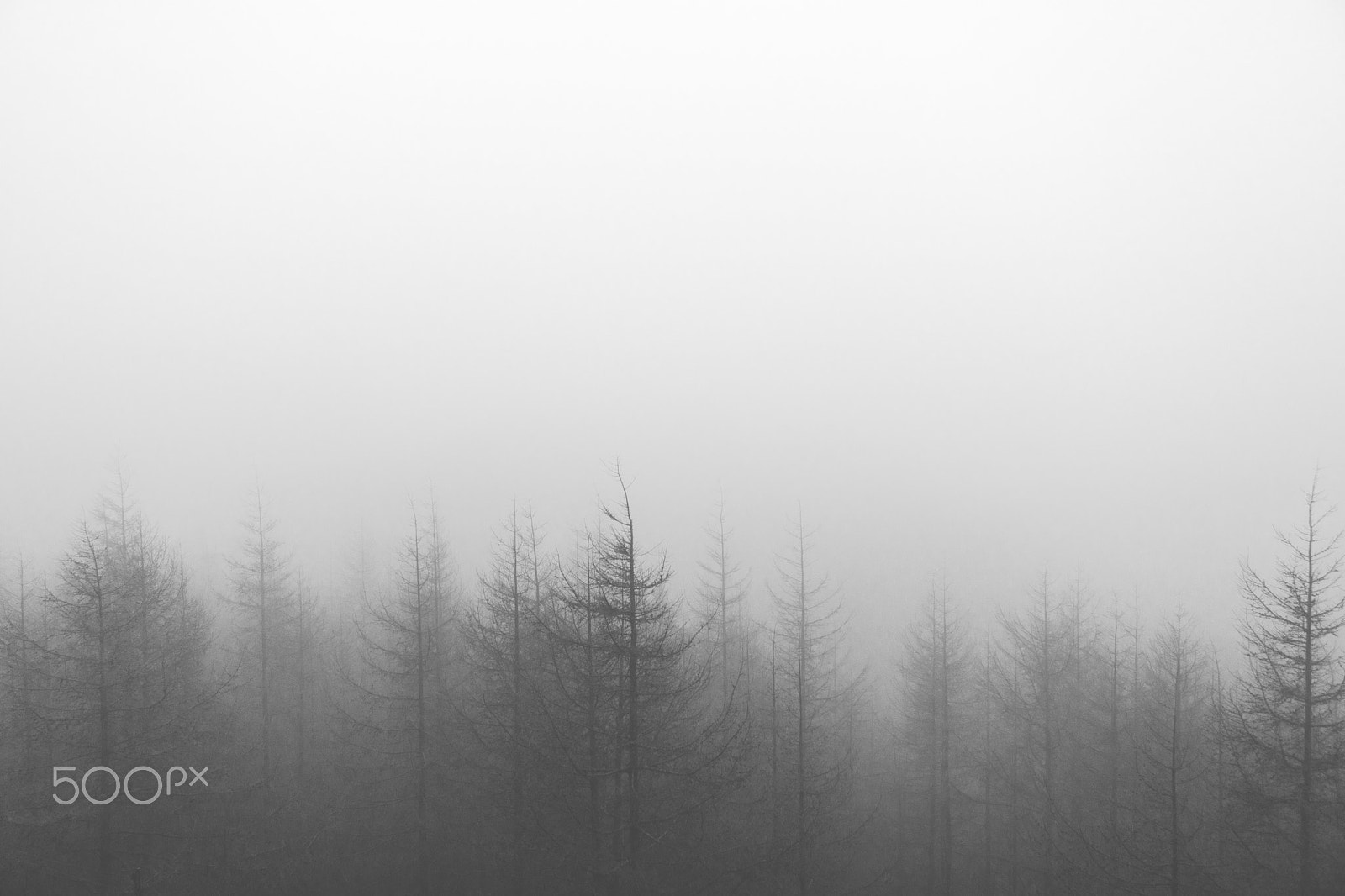 Canon EOS 760D (EOS Rebel T6s / EOS 8000D) sample photo. Misty tops photography