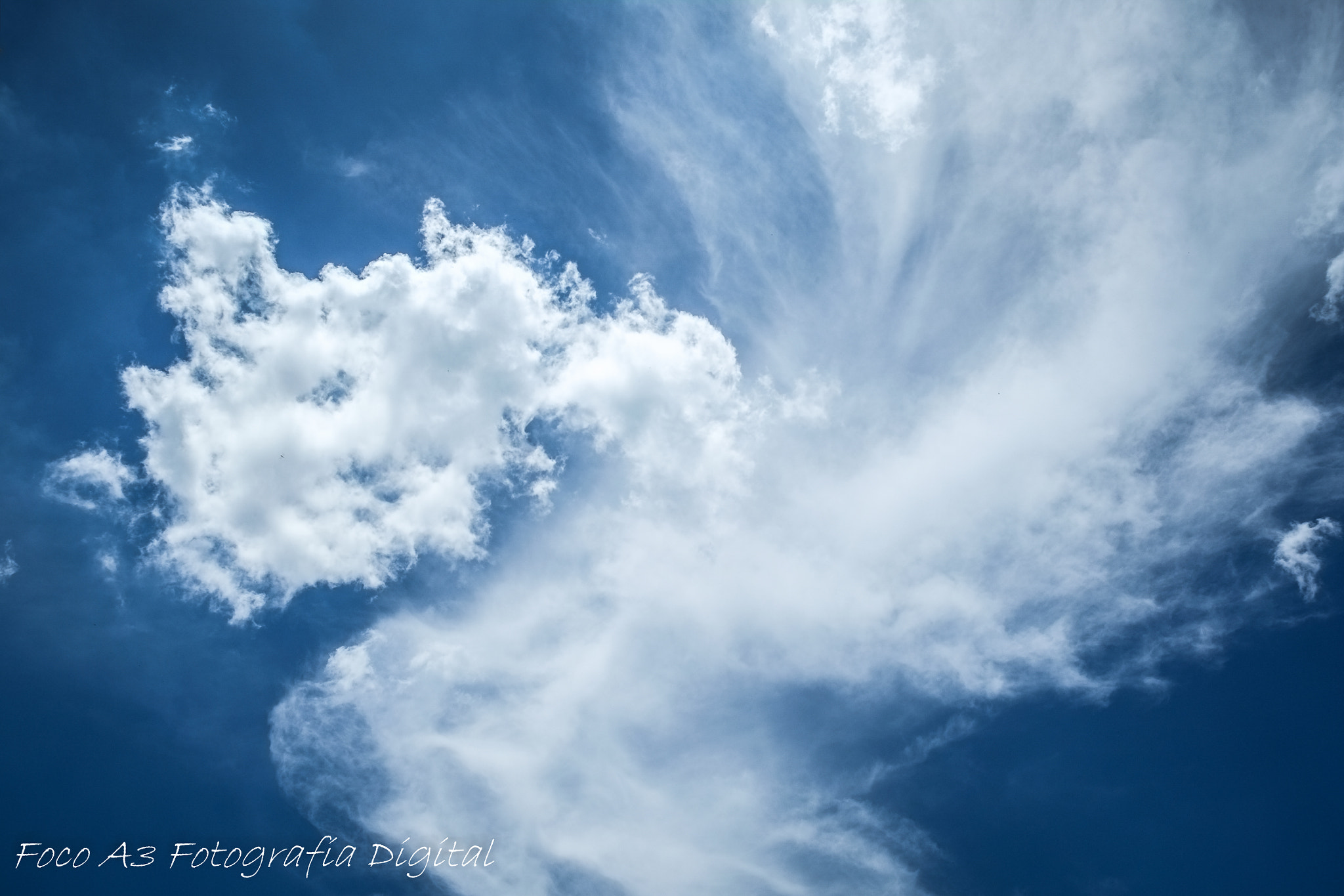 Fujifilm X-Pro1 + Fujifilm XF 18-55mm F2.8-4 R LM OIS sample photo. Dscf photography