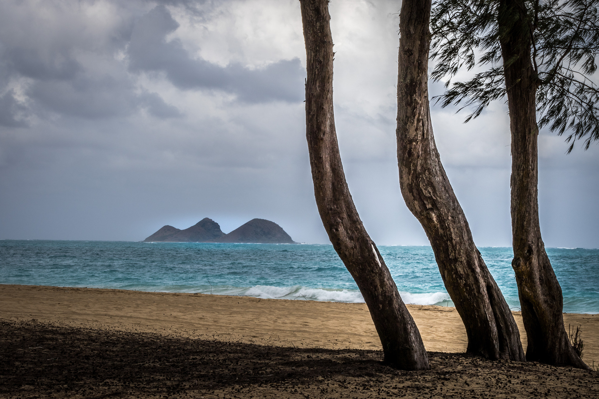 Canon EF 70-200mm F4L USM sample photo. Hawaii cruise photography