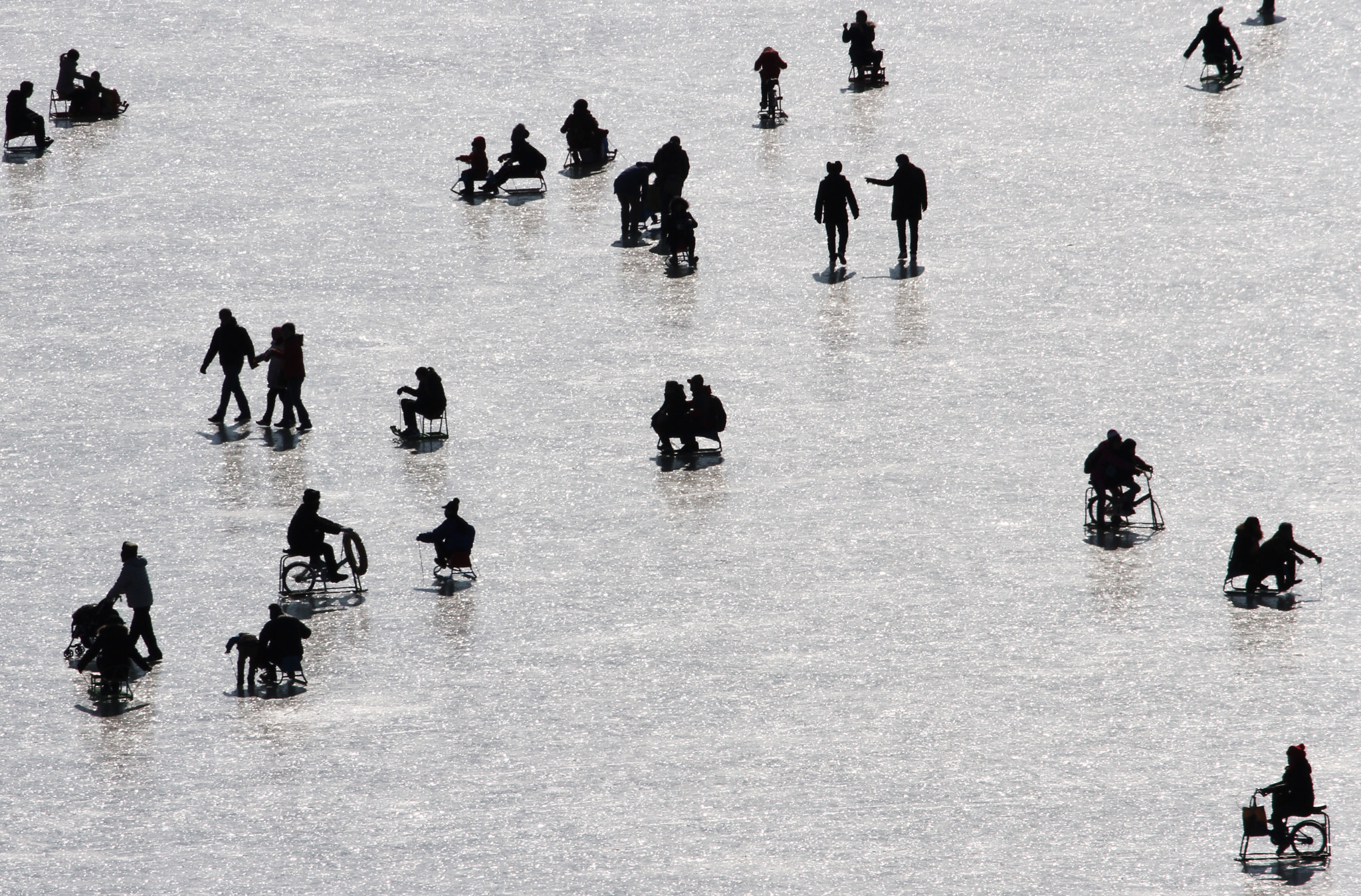 Canon EF 70-300mm F4-5.6L IS USM sample photo. On ice photography
