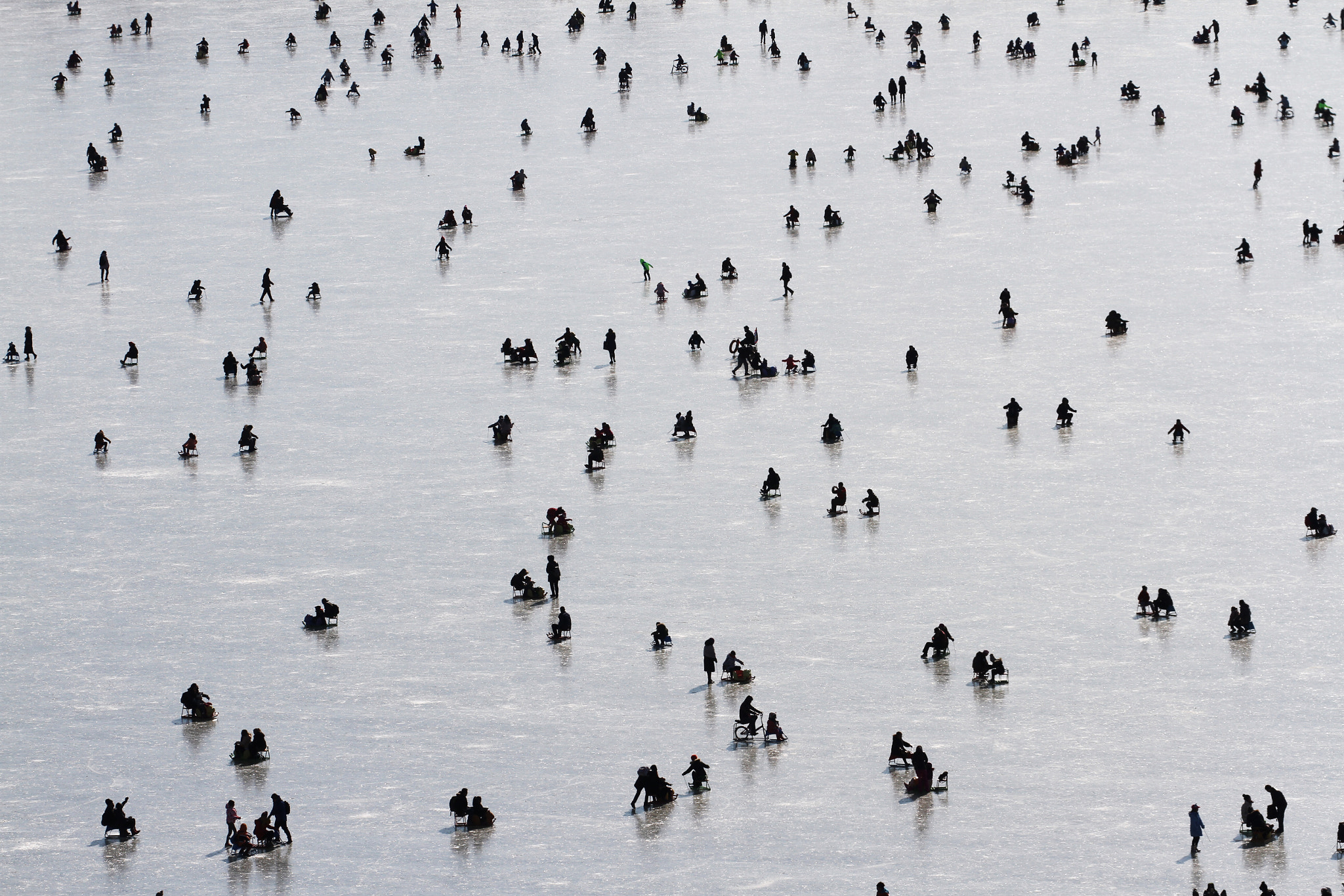 Canon EF 70-300mm F4-5.6L IS USM sample photo. On ice i photography