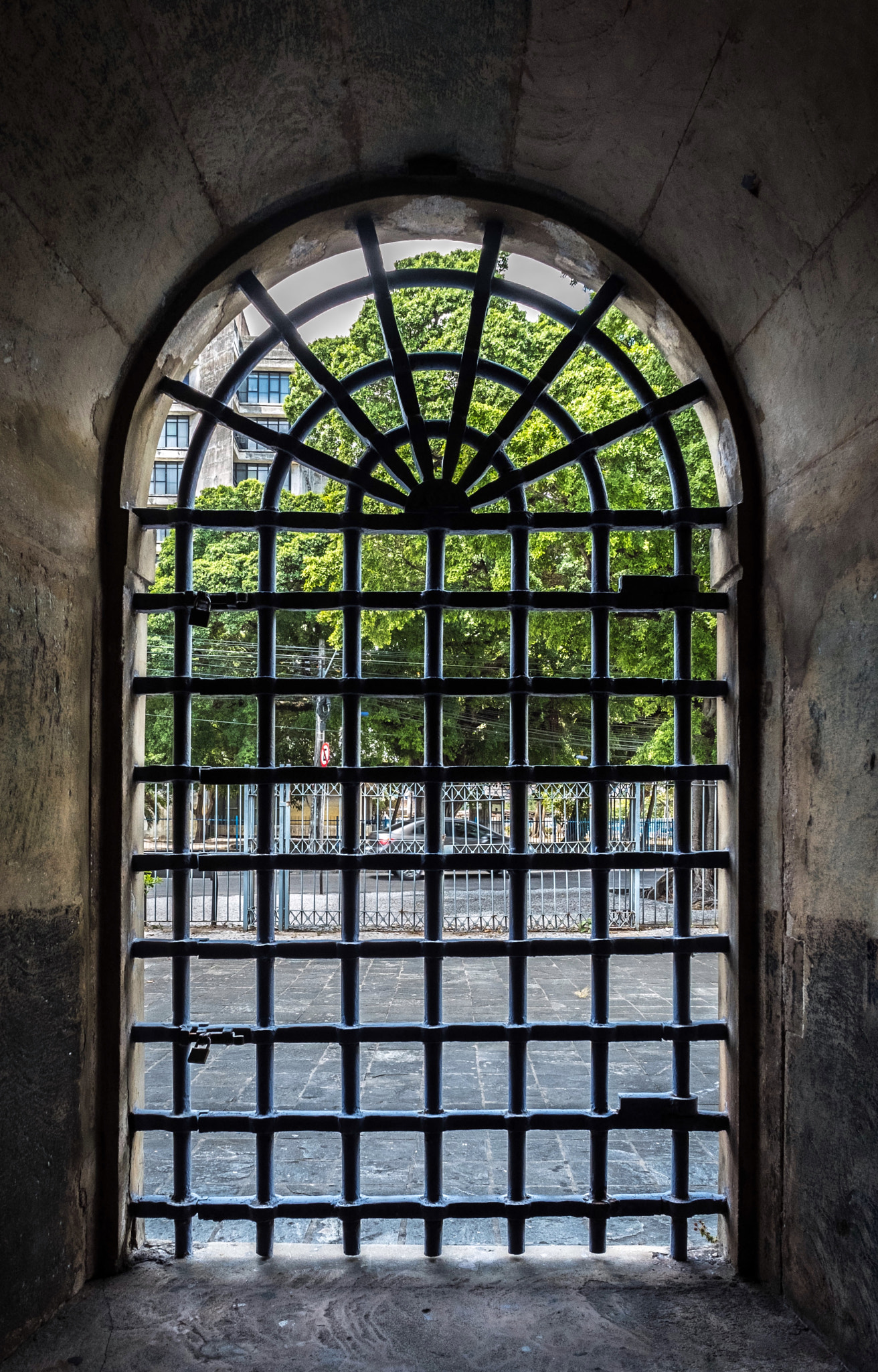 Fujifilm X-T2 + Fujifilm XF 14mm F2.8 R sample photo. Lion course photography