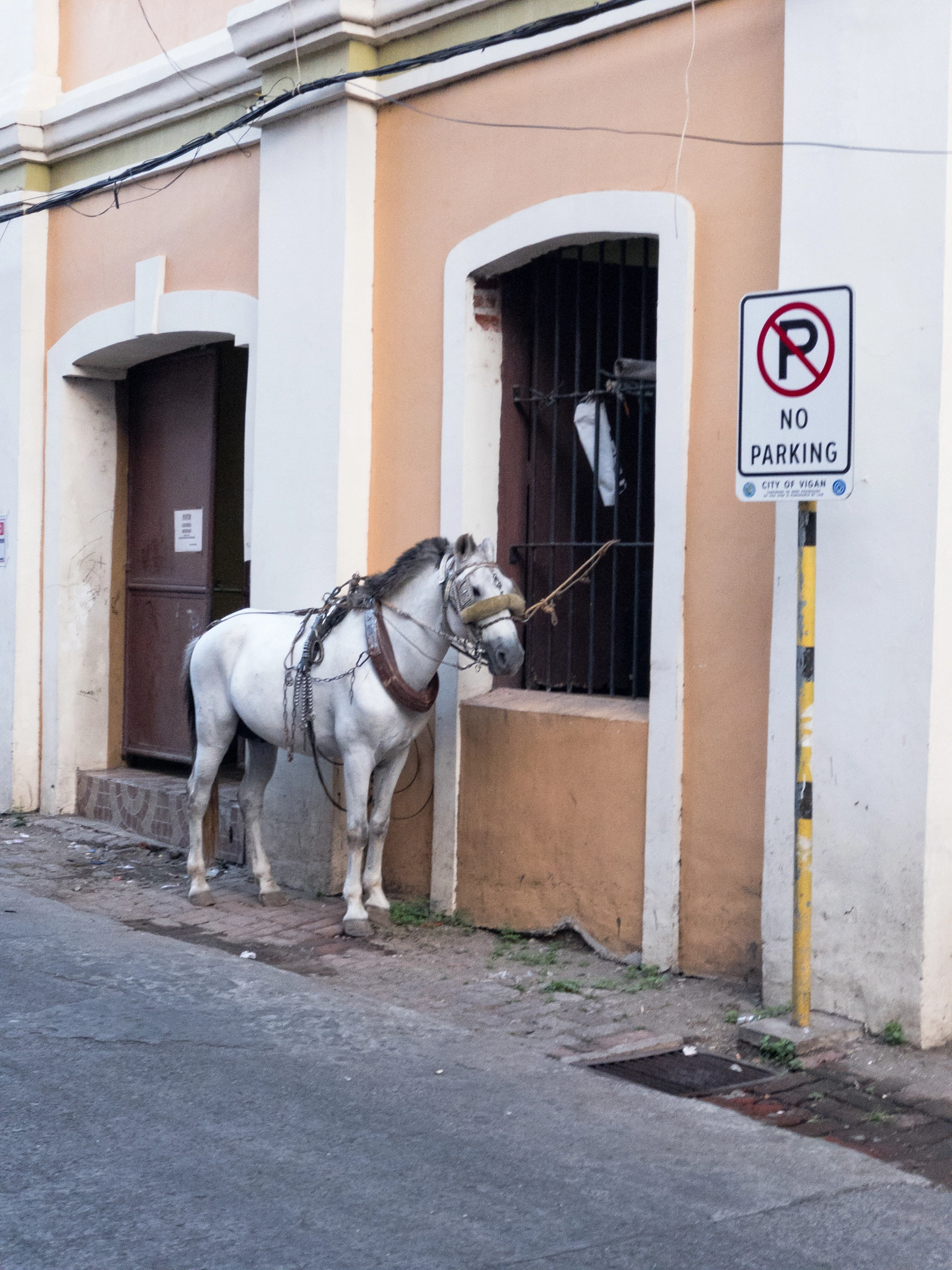 iPhone 7 Plus back camera 6.6mm f/2.8 sample photo. A horse on a no parking sign photography