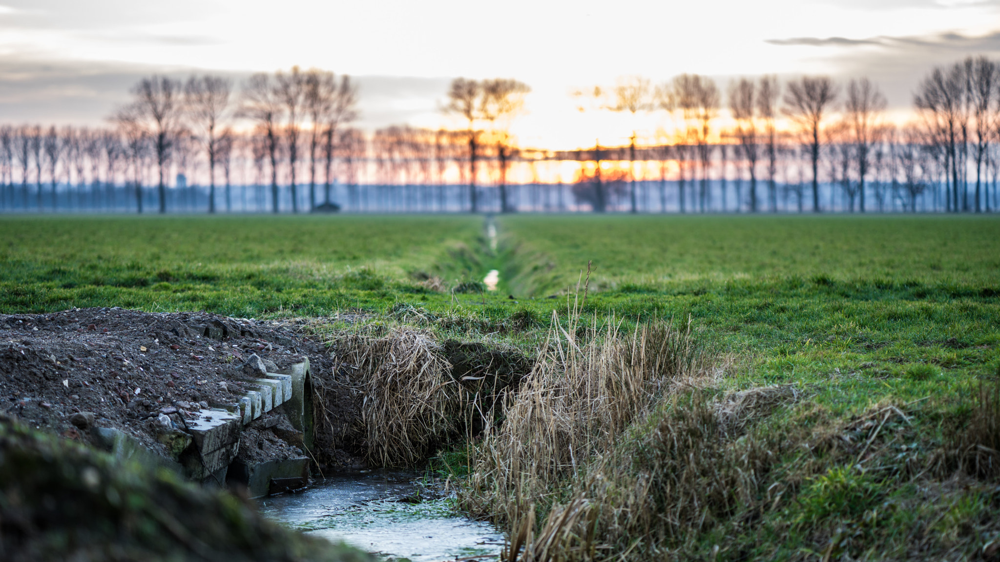 Sony a7 II + ZEISS Batis 85mm F1.8 sample photo. Sunset in the netherlands photography