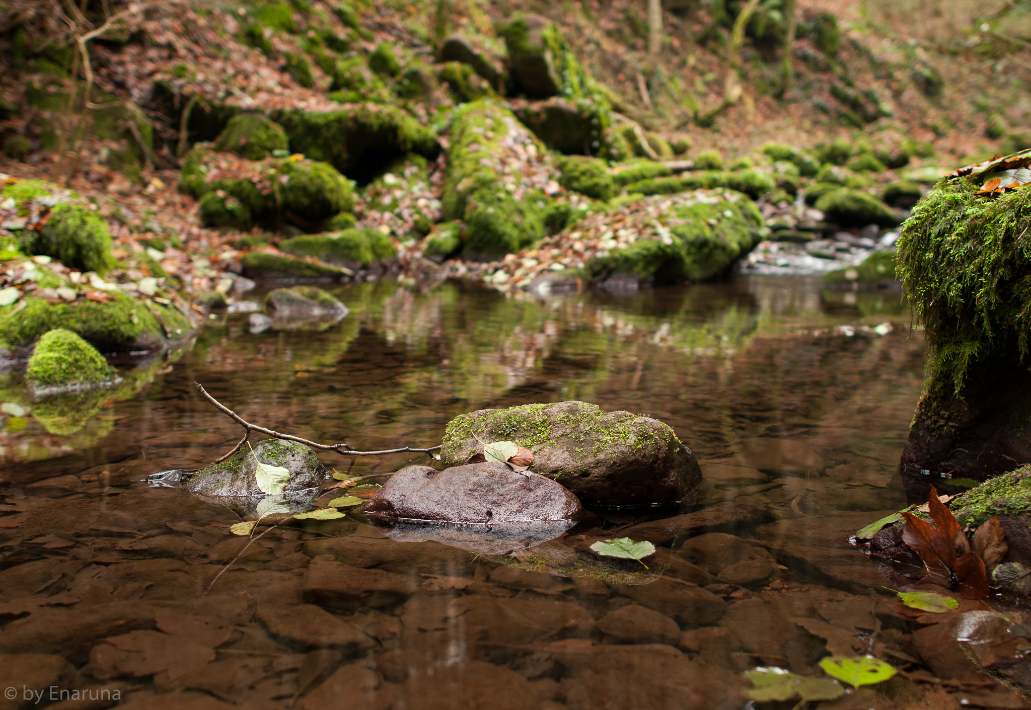 Nikon D300S + Nikon AF-S Nikkor 24mm F1.4G ED sample photo. Little streamlet photography