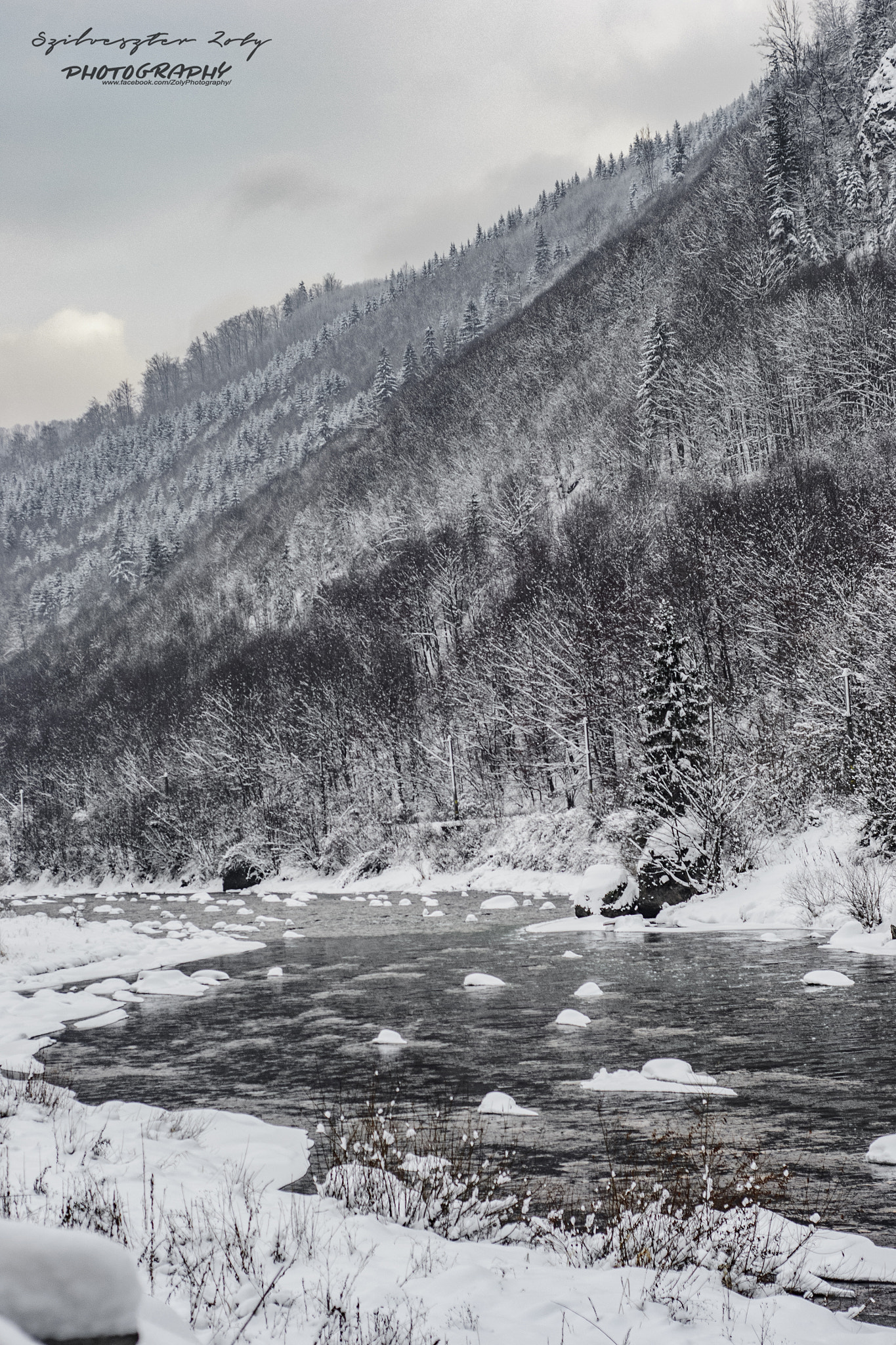 Nikon D3100 + Nikon AF Nikkor 50mm F1.8D sample photo. Winter photography