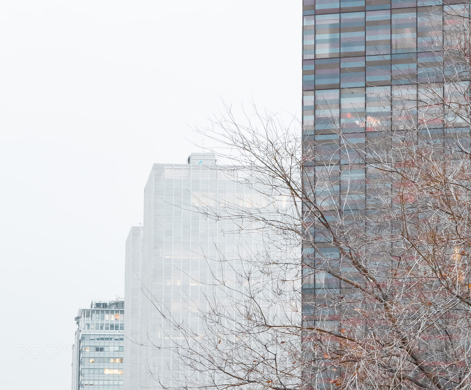 Panasonic Lumix DMC-G5 sample photo. Descending order photography