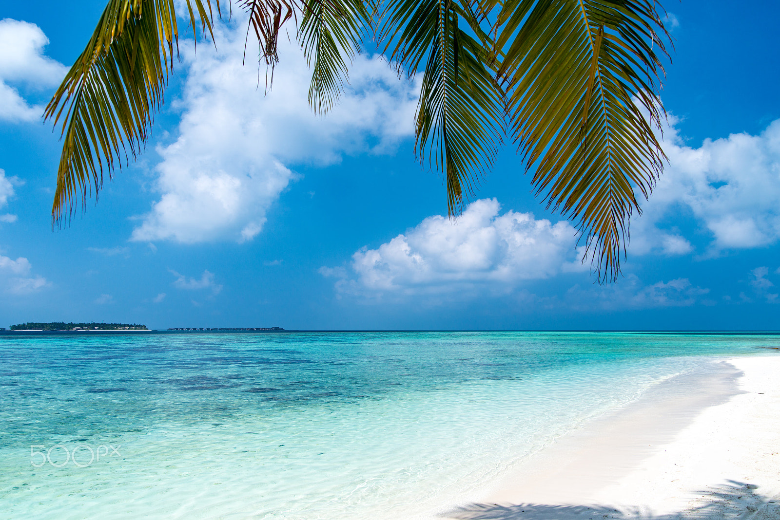 Nikon D800 sample photo. Dhoores island view of st regis photography
