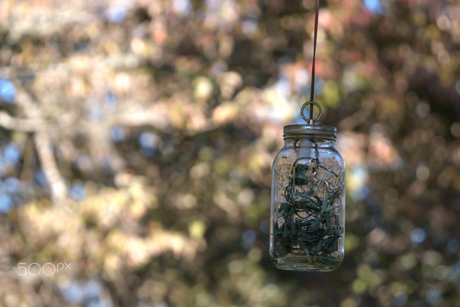 Nikon D3200 sample photo. Sweet bokeh background photography