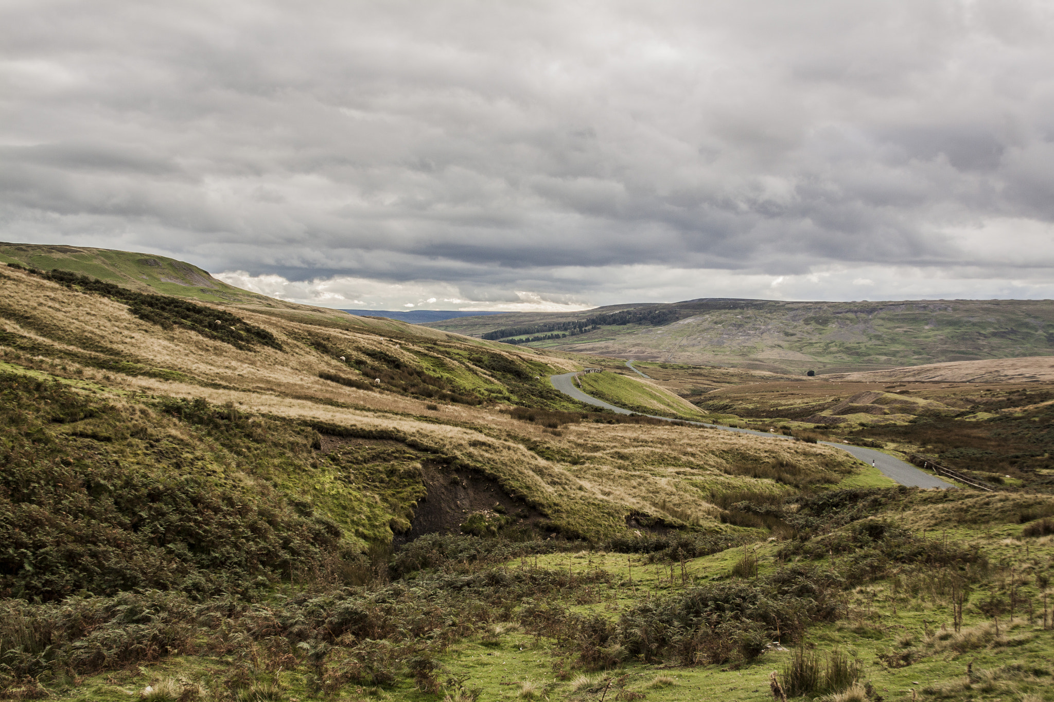 Canon EOS 50D + Canon EF 28-105mm F4.0-5.6 USM sample photo. Beyond reeth photography