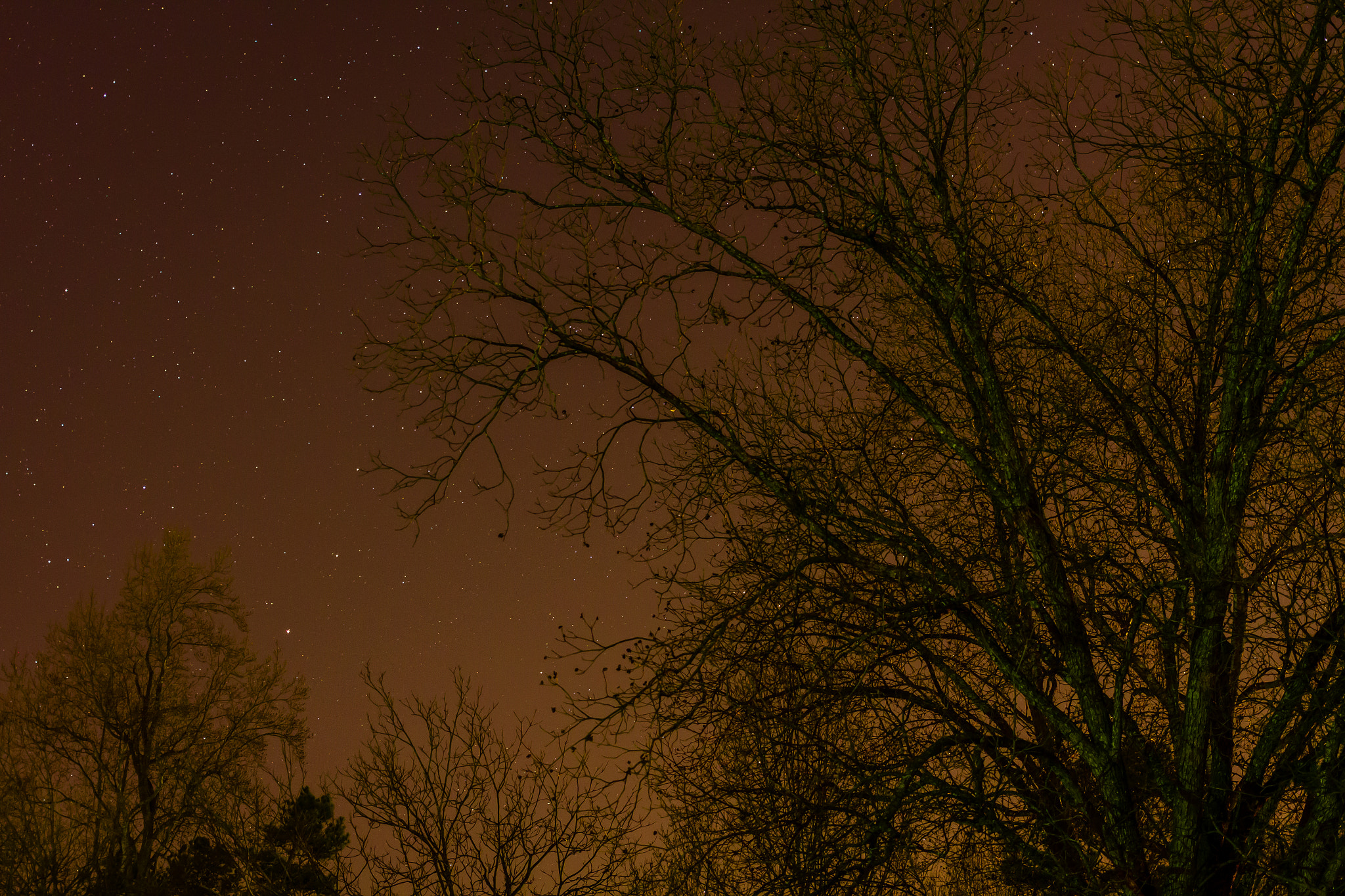 Canon EOS 7D + Canon EF 40mm F2.8 STM sample photo. Shooting the stars photography