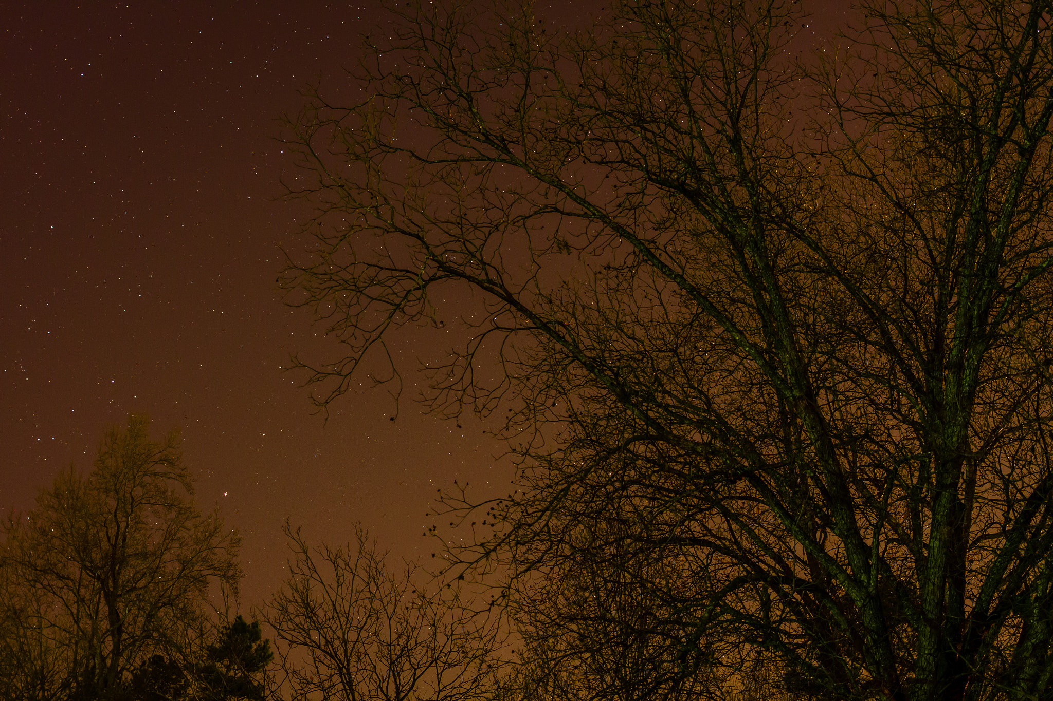 Canon EF 40mm F2.8 STM sample photo. Shooting the stars photography