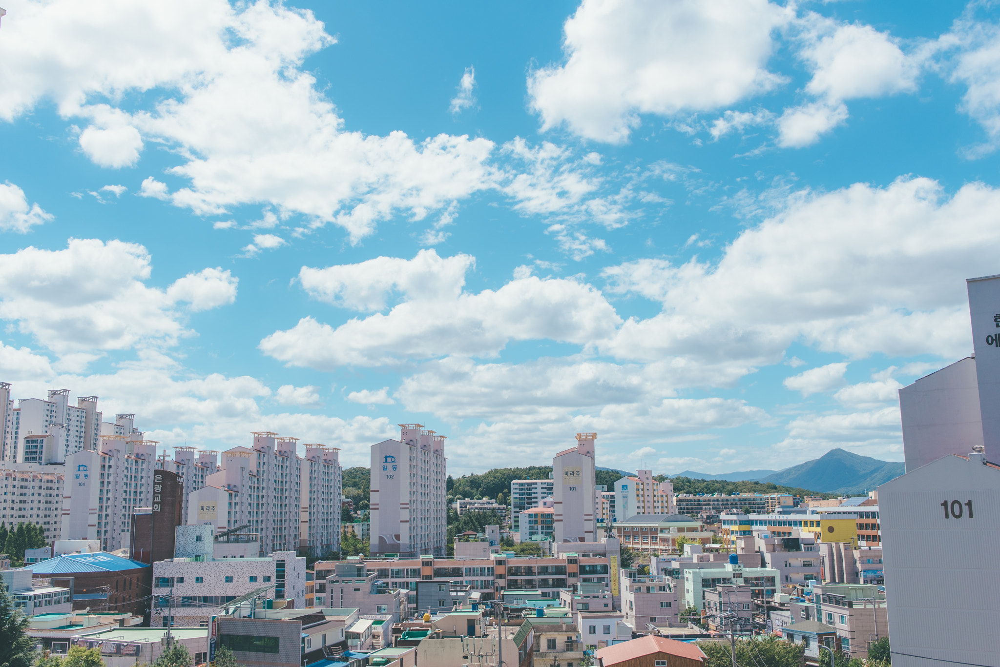 Tamron SP 35mm F1.8 Di VC USD sample photo. 2016.08.27 photography