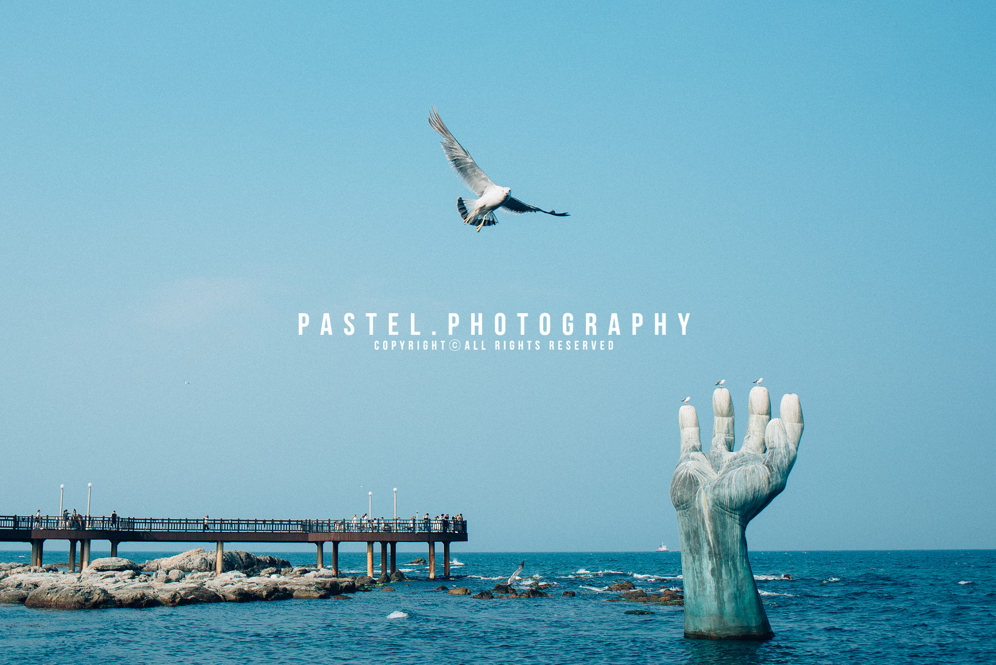 Nikon D750 + Tamron SP 35mm F1.8 Di VC USD sample photo