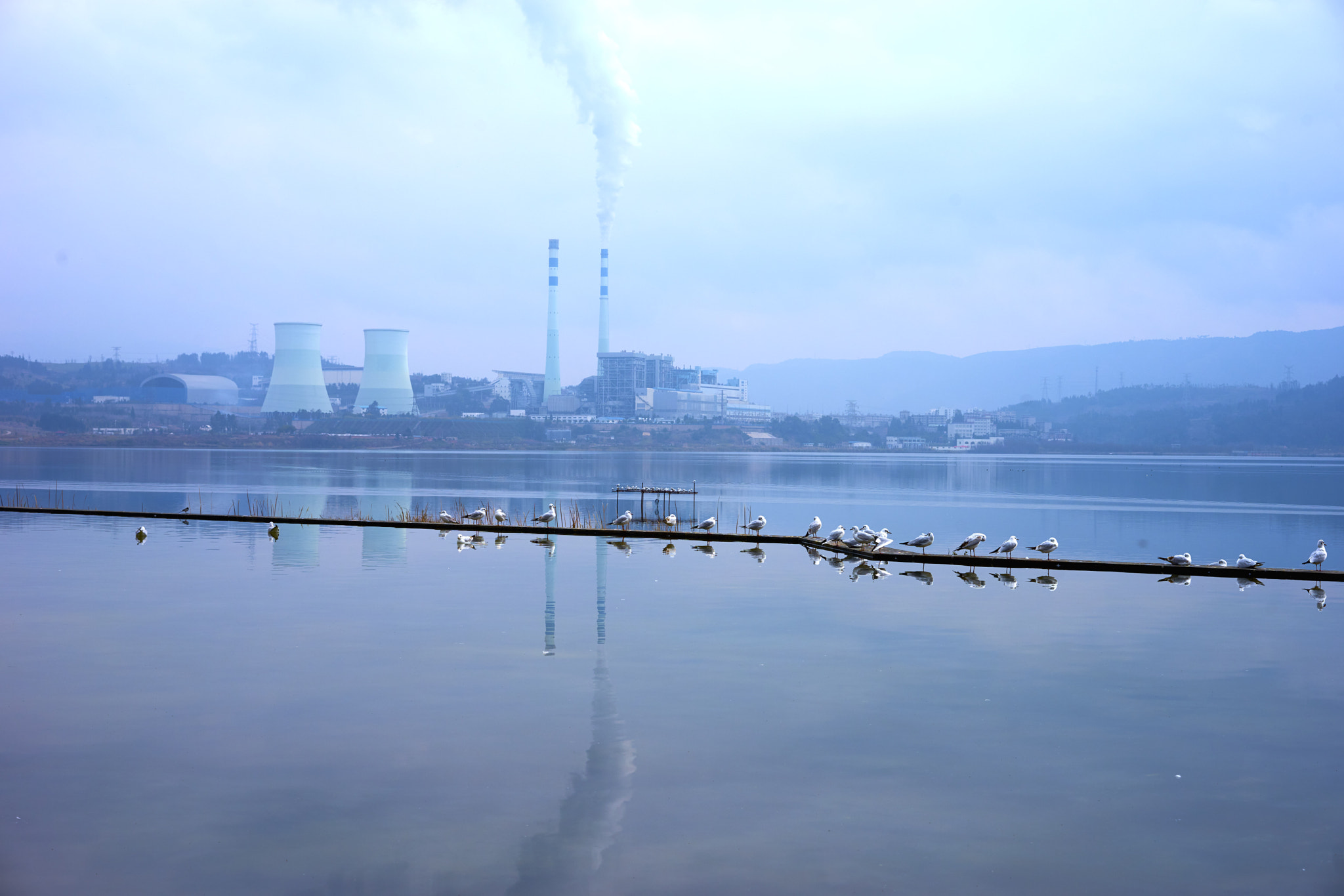 Sony a7 II + Sony Sonnar T* FE 55mm F1.8 ZA sample photo. Seagulls on winter lake near a factory photography