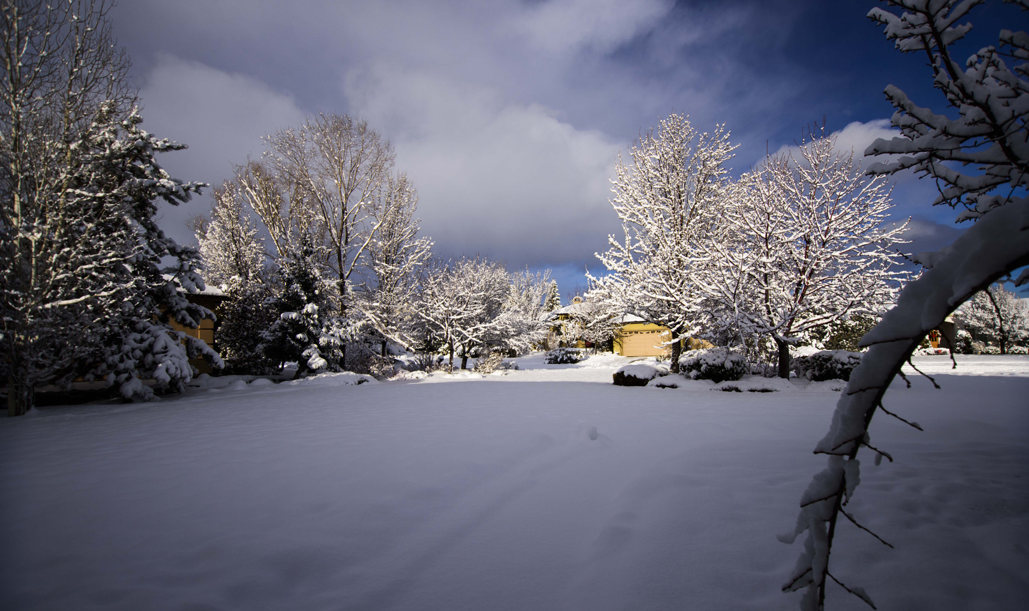 Nikon D810 + Sigma 10-20mm F3.5 EX DC HSM sample photo. Winter's moring photography