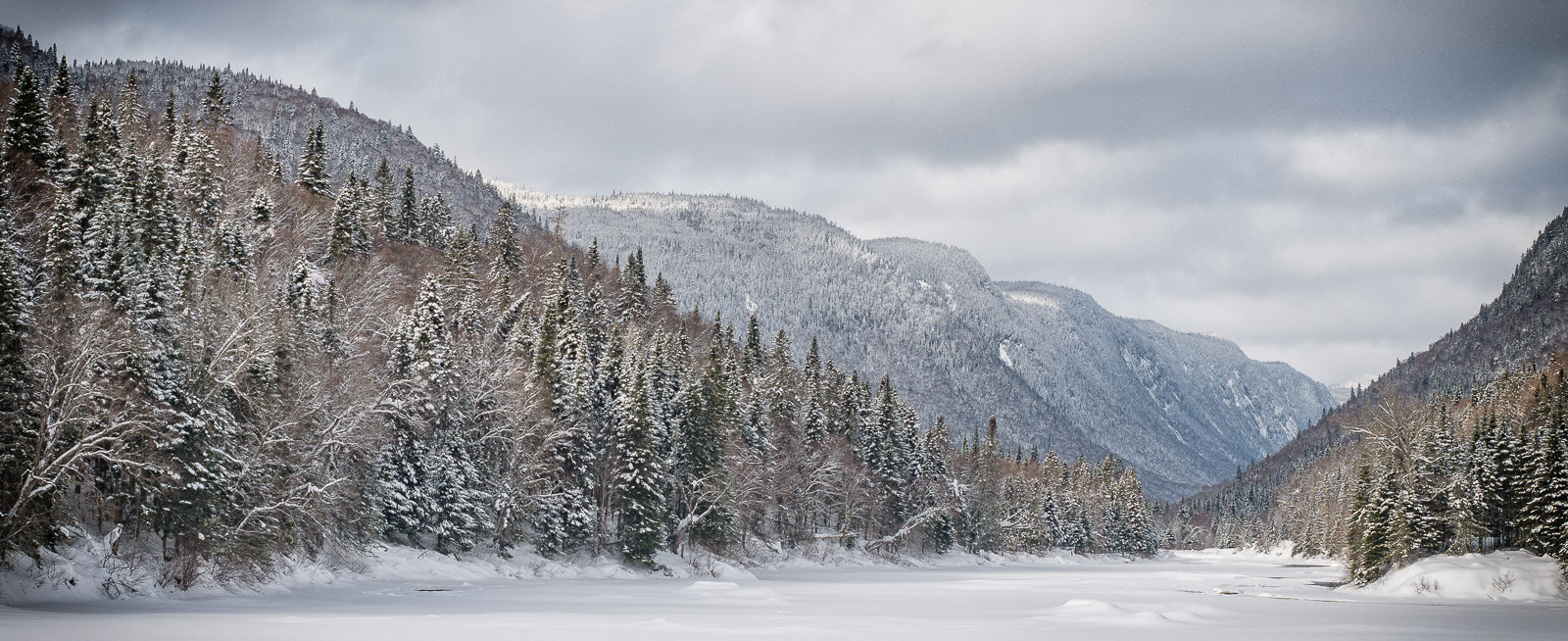 Panasonic Lumix DMC-G85 (Lumix DMC-G80) sample photo. Parc de la jacques cartier en hiver photography