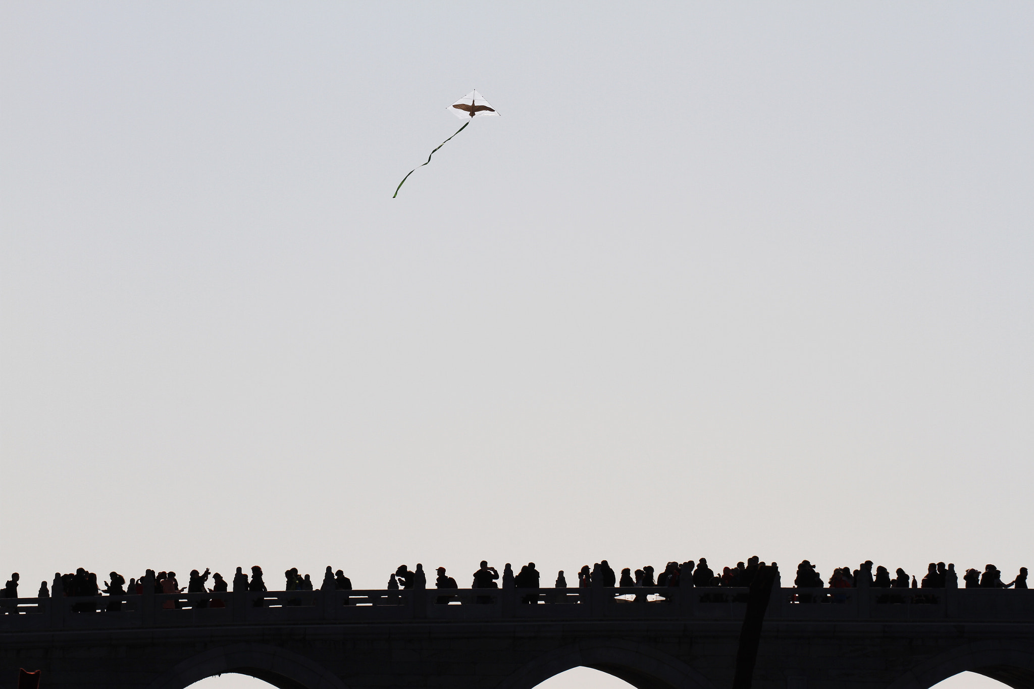 Canon EF 70-300mm F4-5.6L IS USM sample photo. Bridge and kite photography