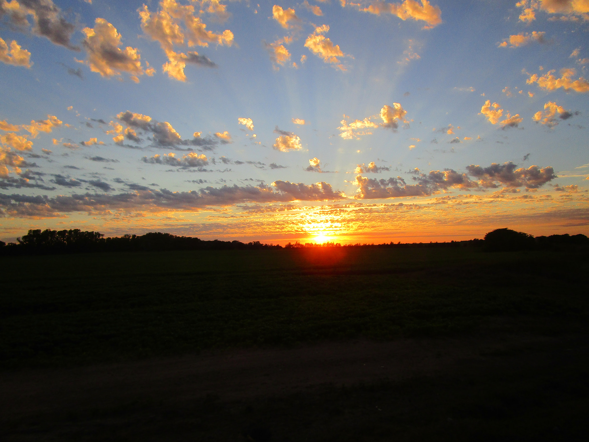 Canon PowerShot ELPH 190 IS (IXUS 180 / IXY 190) sample photo. Img photography