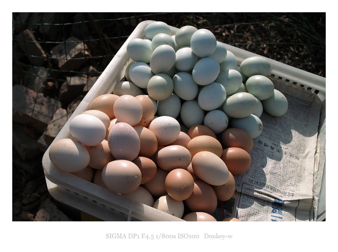 Sigma DP1 sample photo. Eggs photography