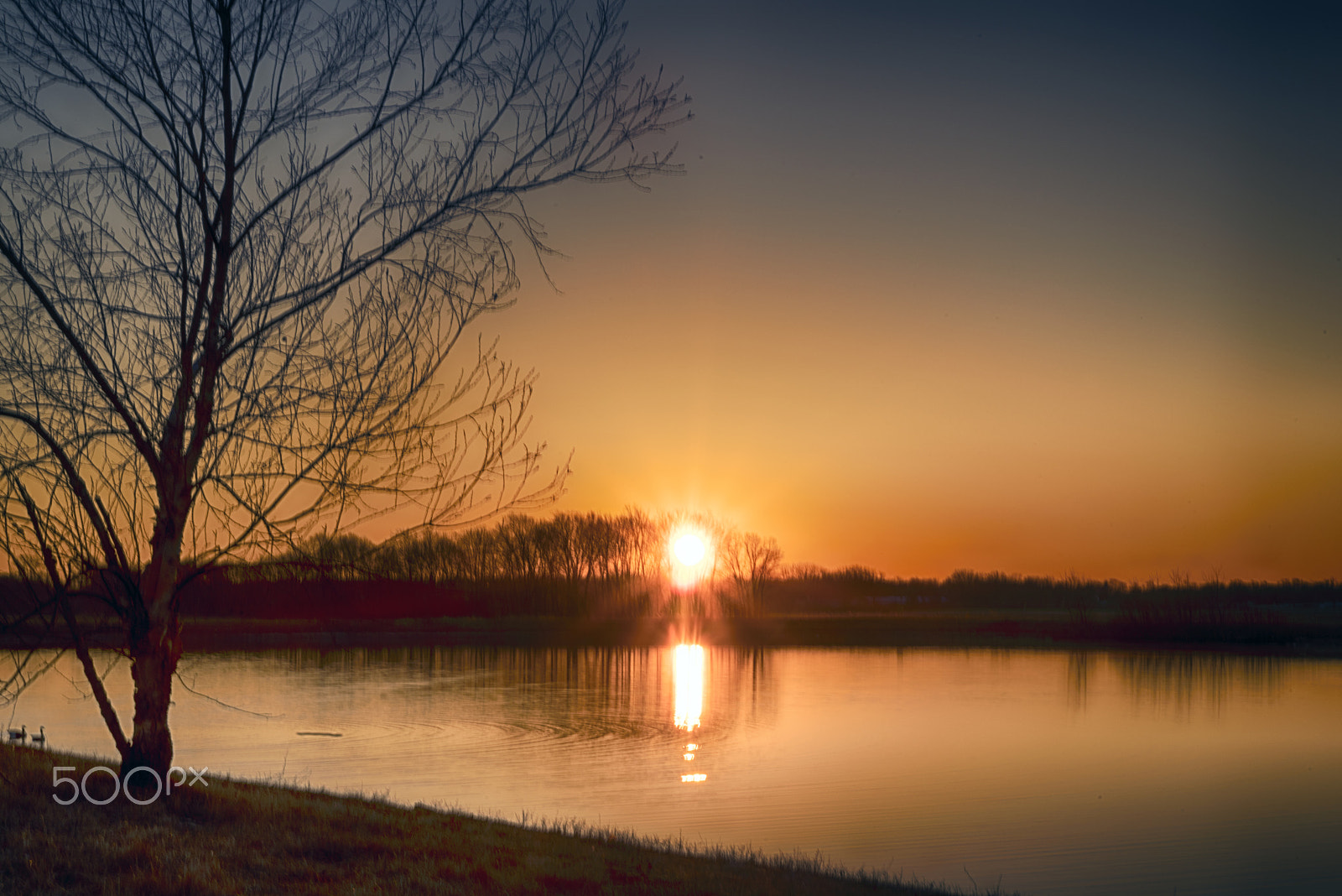 Pentax K-1 sample photo. Sunrise on the pond photography