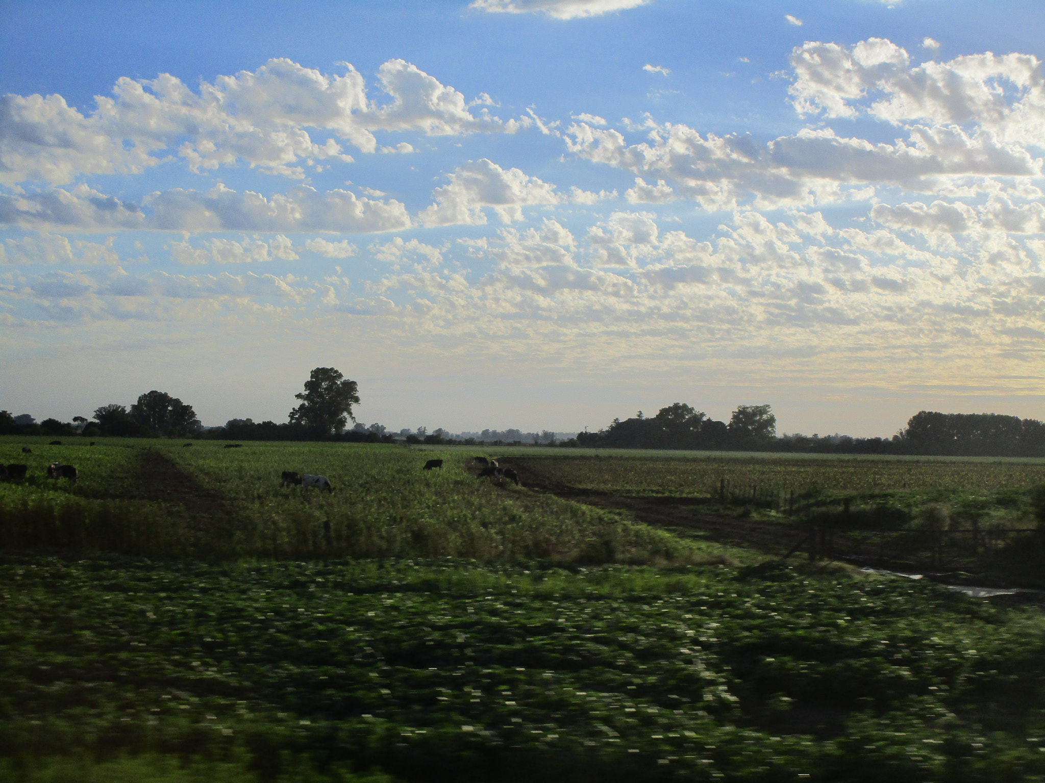 Canon PowerShot ELPH 190 IS (IXUS 180 / IXY 190) sample photo. Img photography