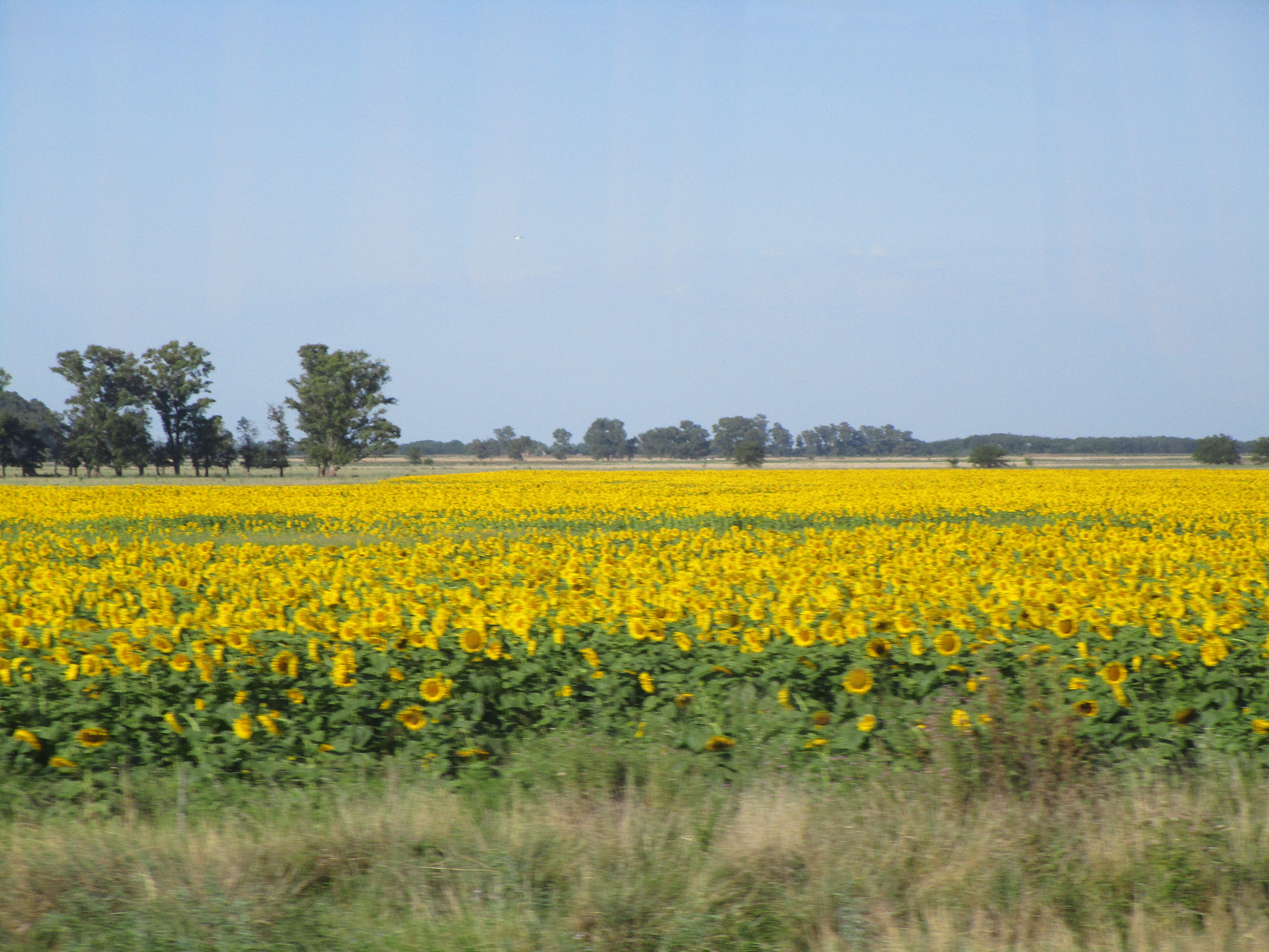 Canon PowerShot ELPH 190 IS (IXUS 180 / IXY 190) sample photo. Img photography