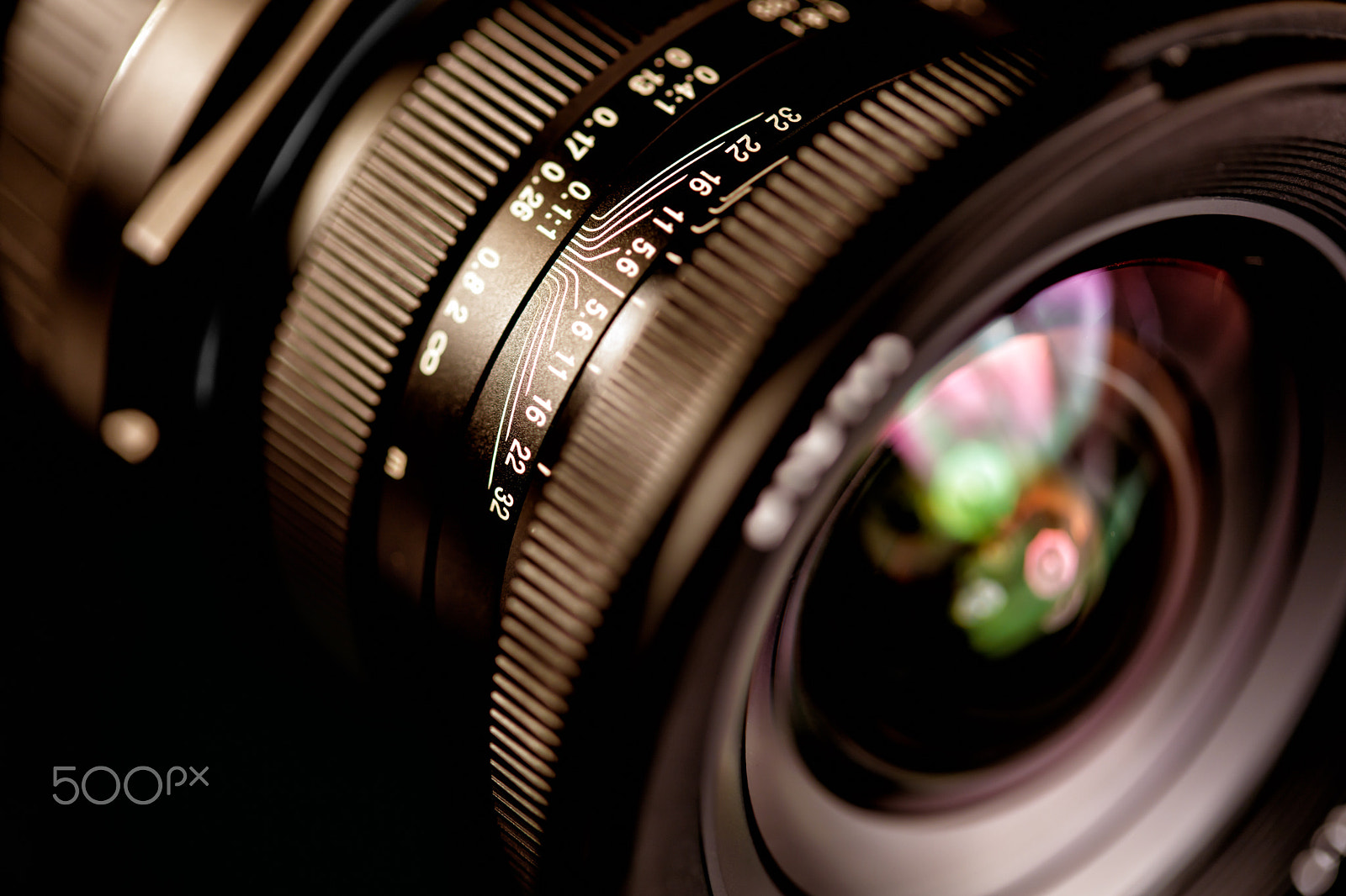 Canon EF 100mm F2.8 Macro USM sample photo. Macro v. macro photography